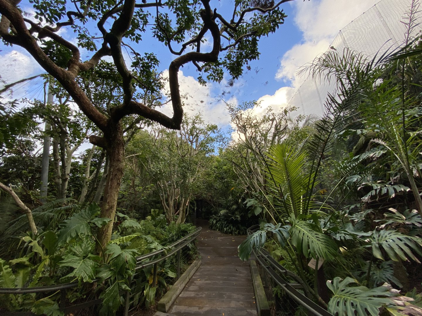 View of Parker Aviary