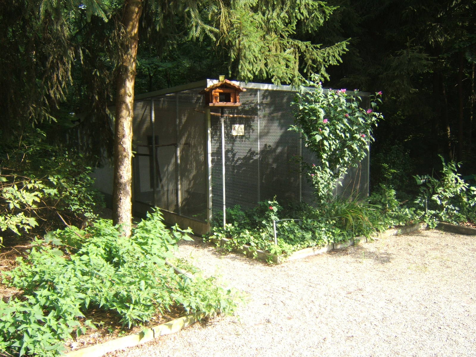 View of Parrot Aviary