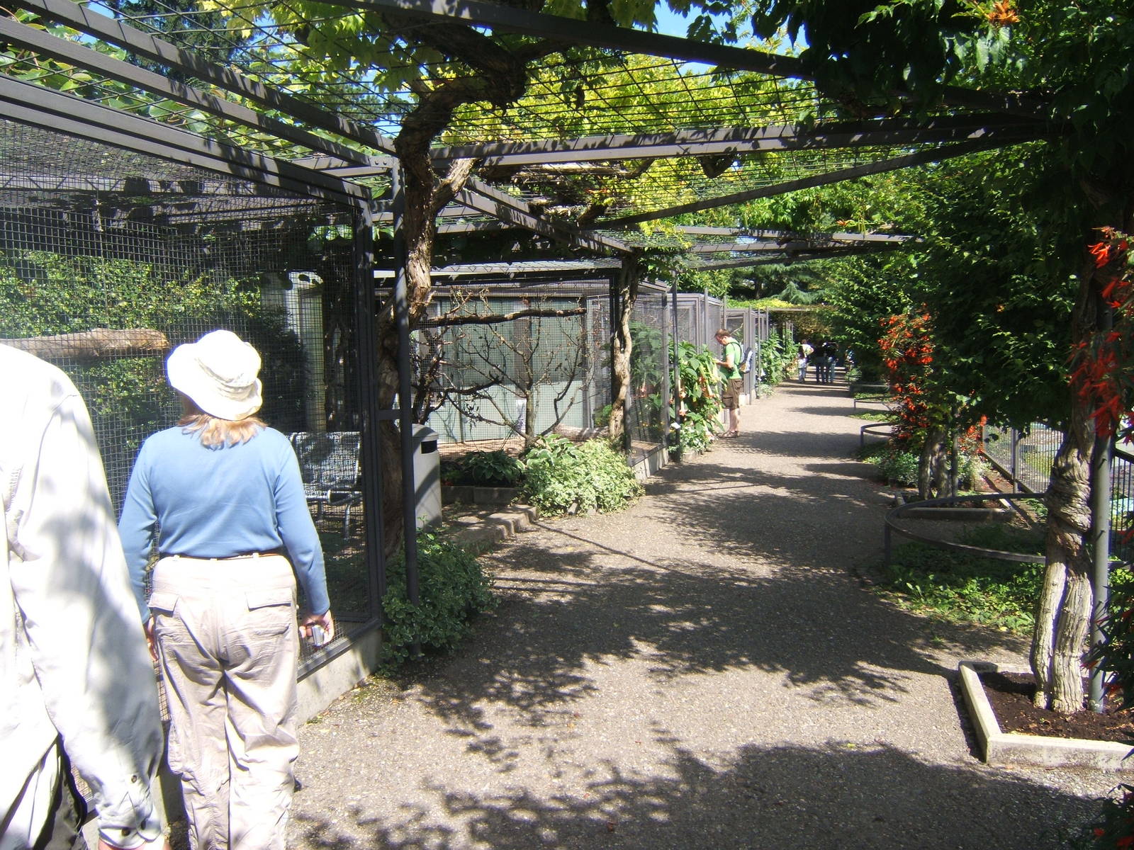 View of Parrot Aviarys