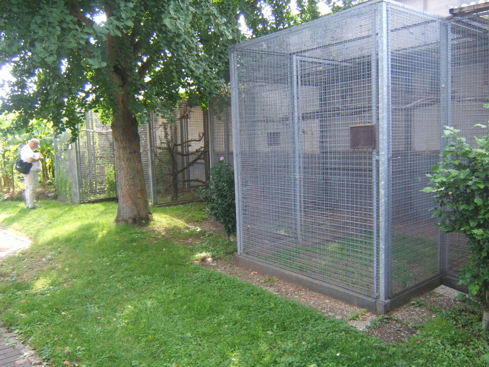 View of Parrot Aviarys