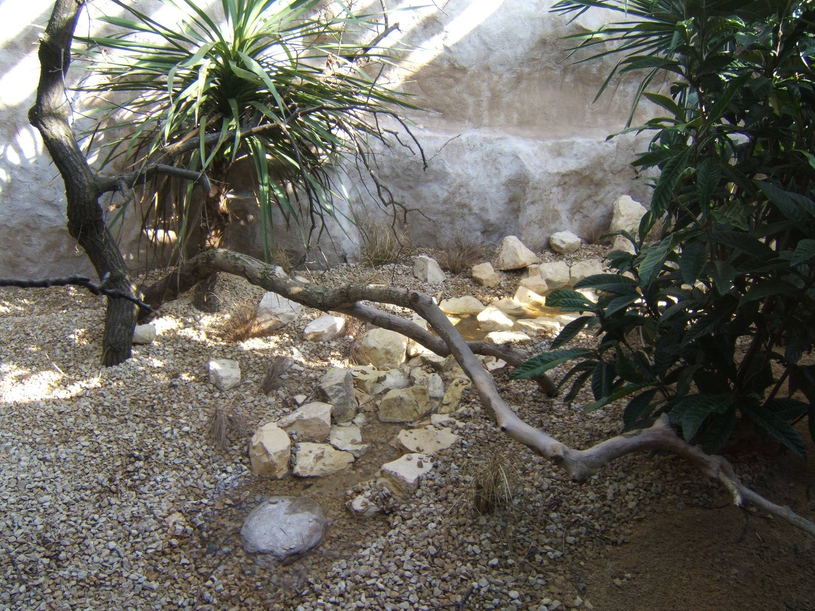 View of Parrot Breeding Centre aviary
