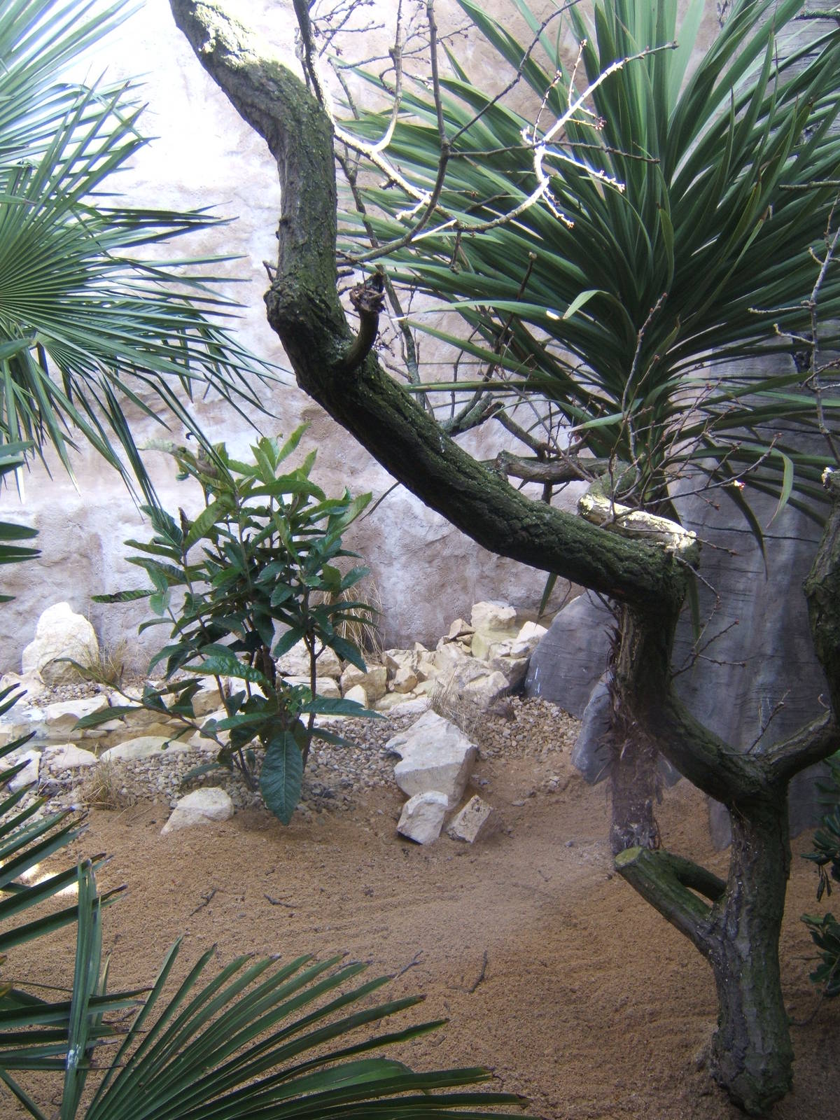 View of Parrot Breeding Centre aviary