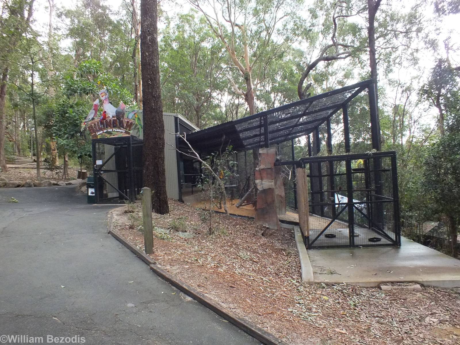View of Parrot/Lorikeet Walkthrough from Outside