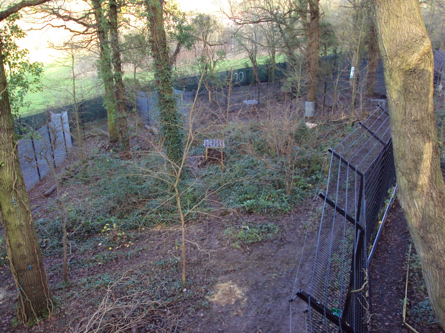 View of part od Bear and Wolf enclosure 03/01/2020