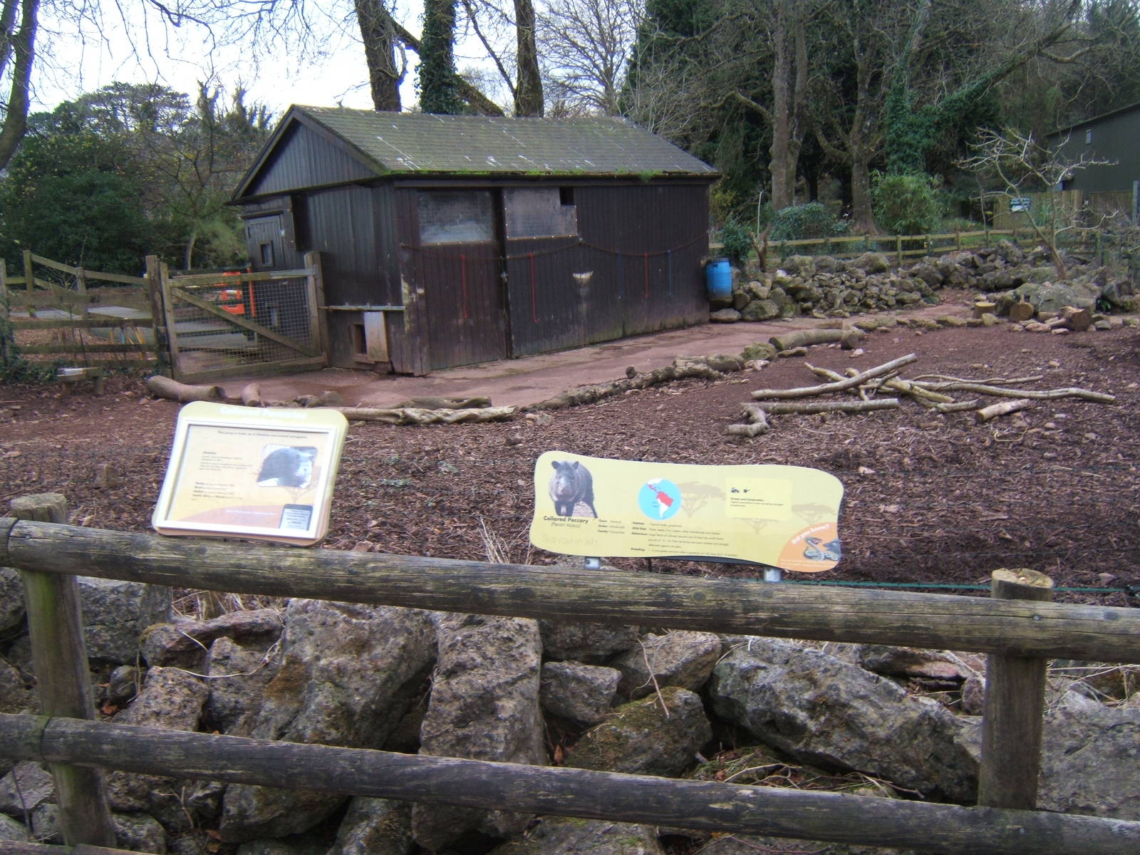 View of part of Collared Peccary exhibit