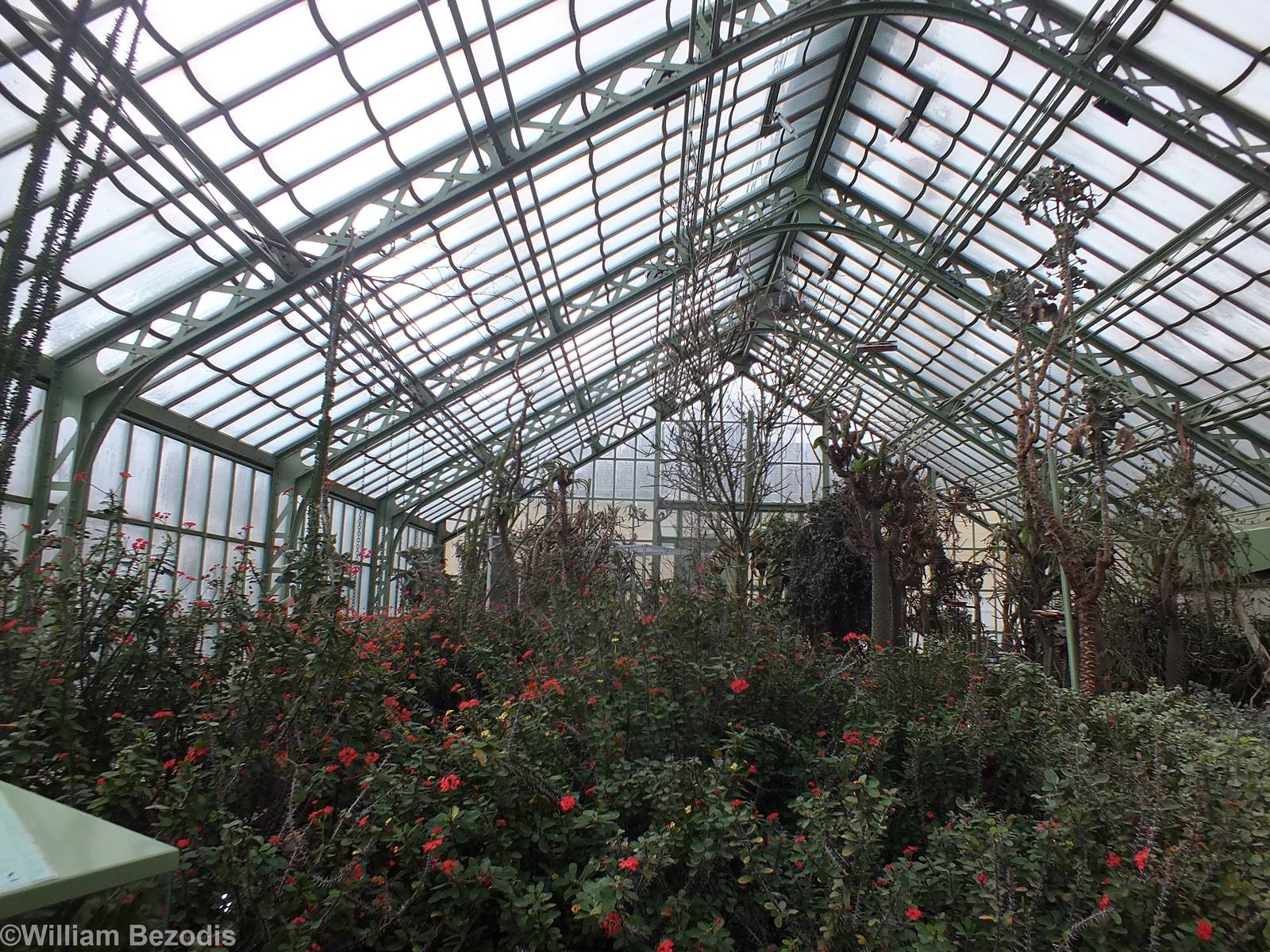 View of Part of Desert House