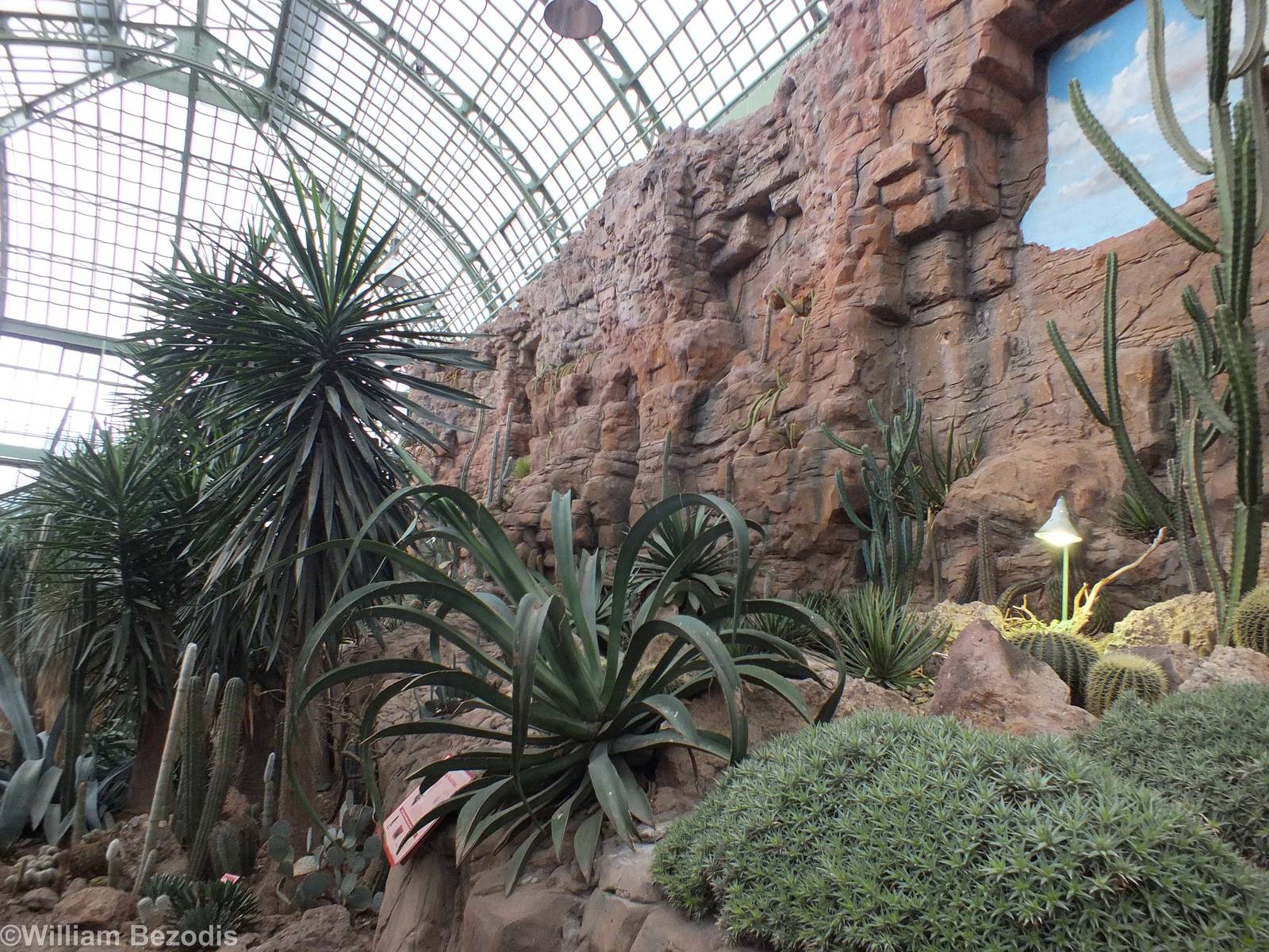 View of Part of Desert House