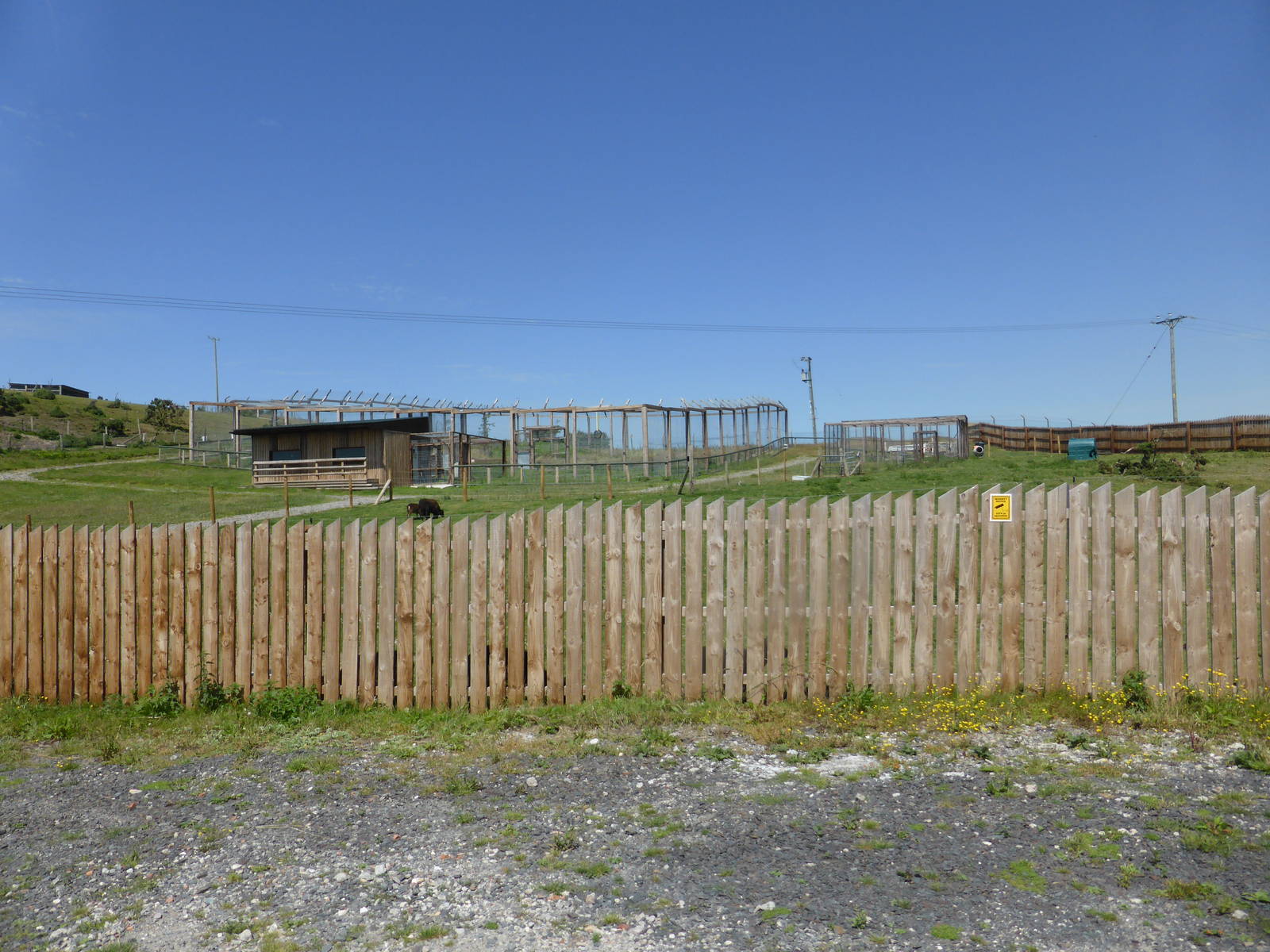 View of part of extension .