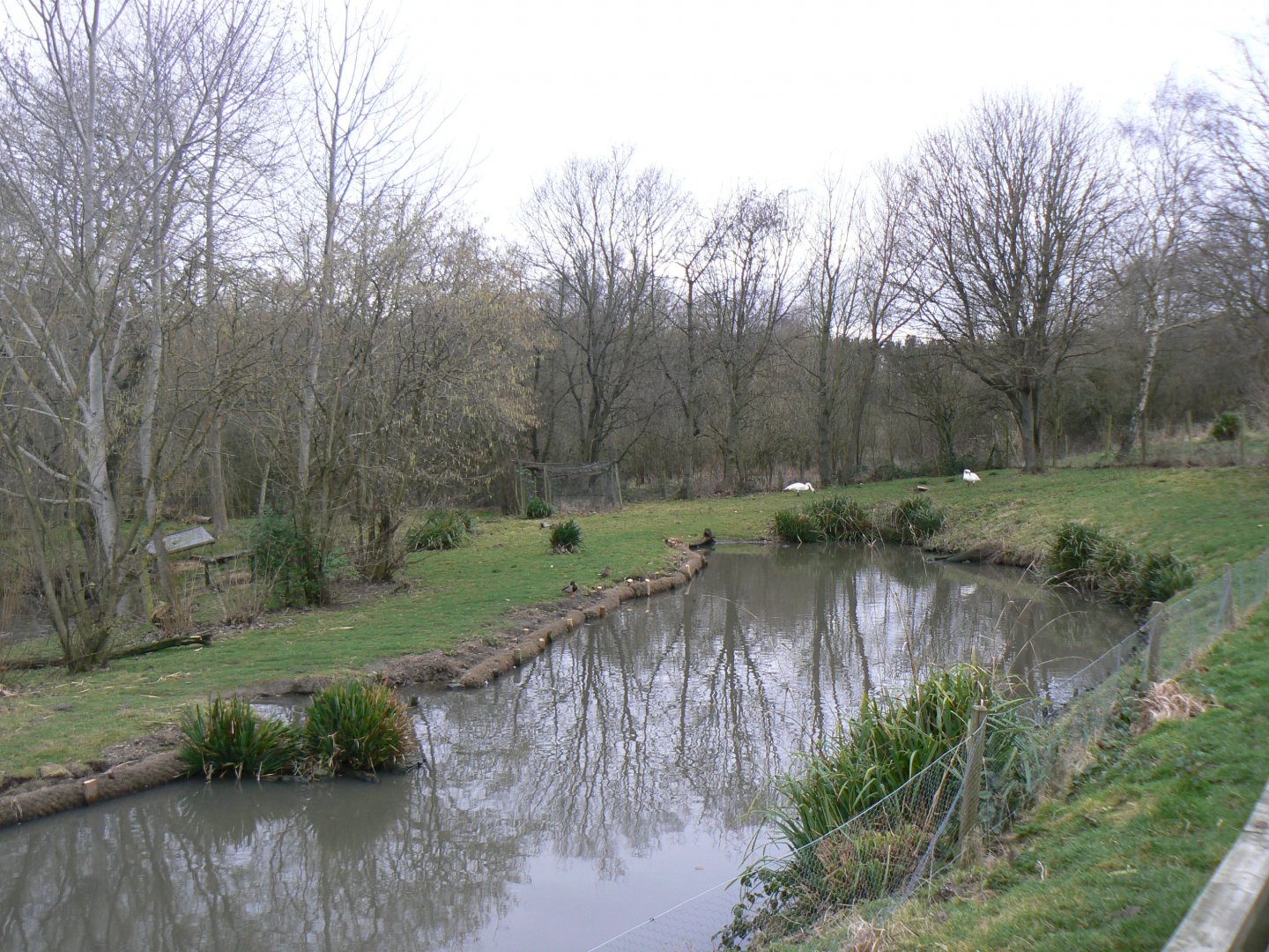 View of Part of Hunters Creek - 21 February 2017