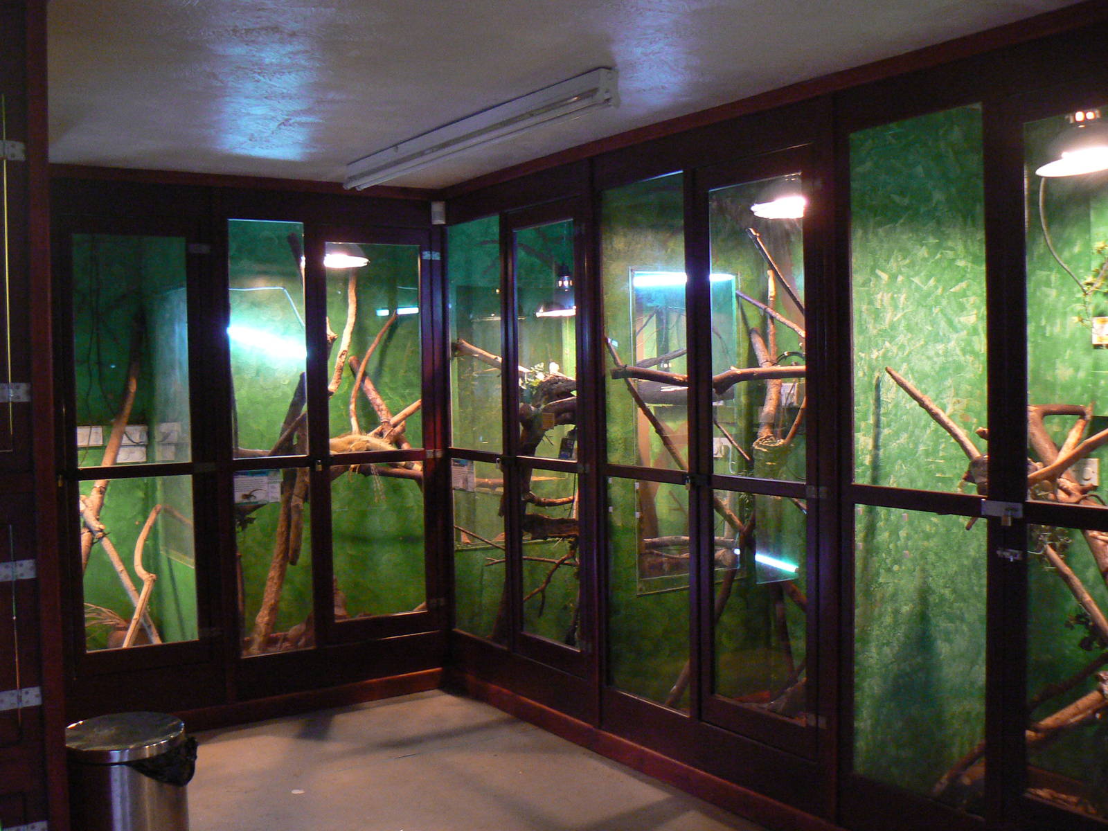 View of Part of Reptile House - 28 November 2015