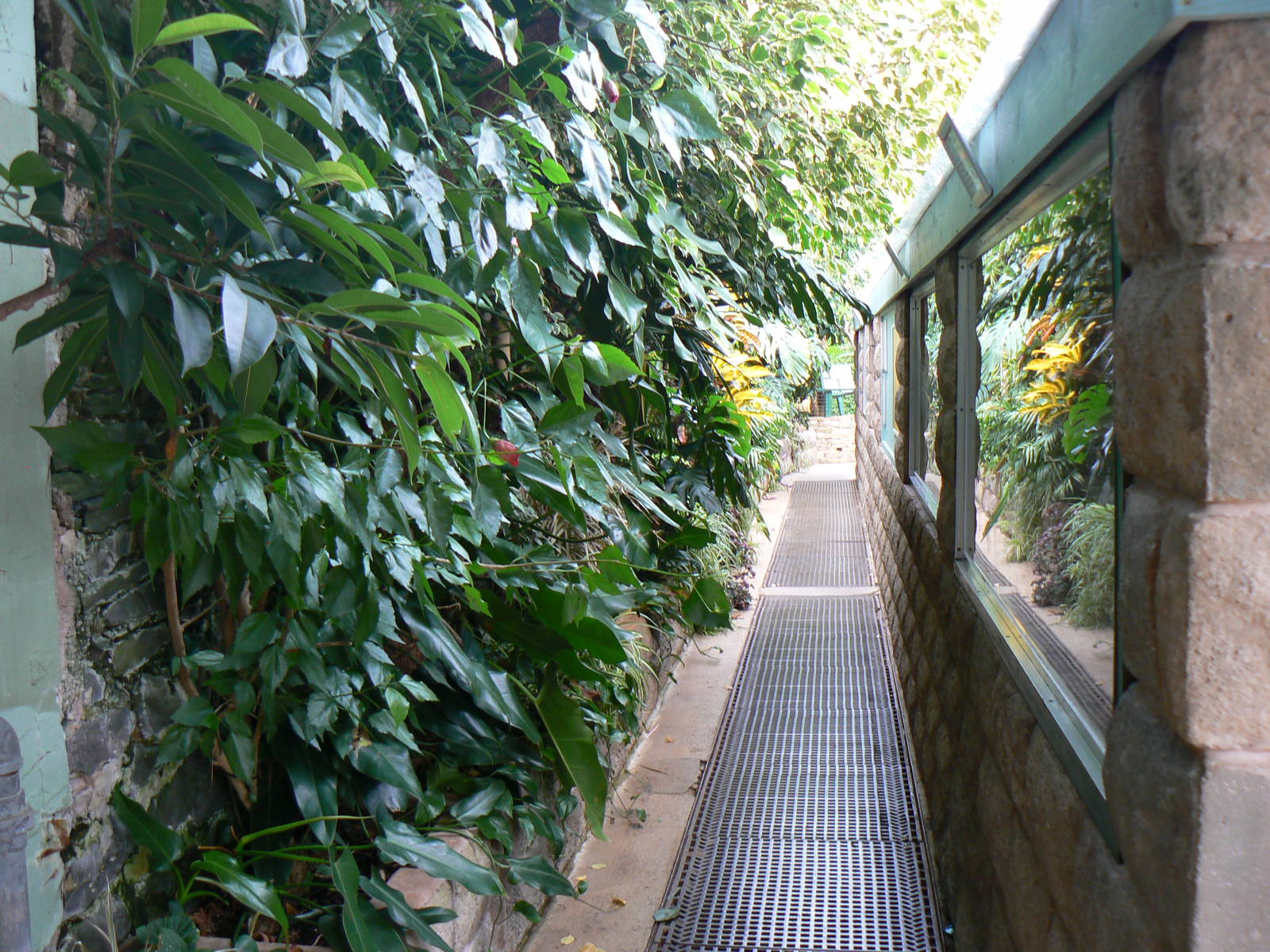 View of Part of Reptile House - 30 May 2016