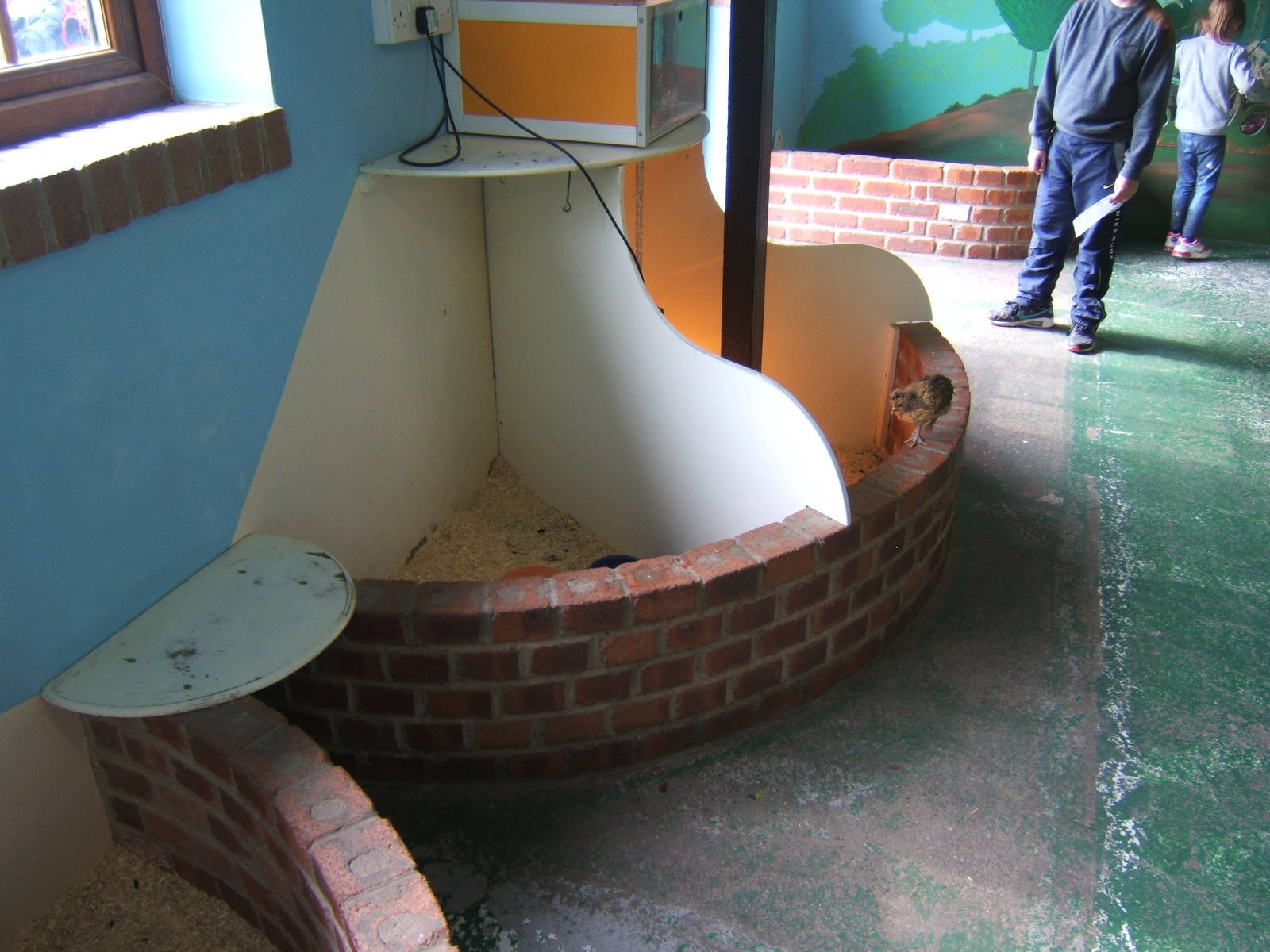 View of part of small mammal house