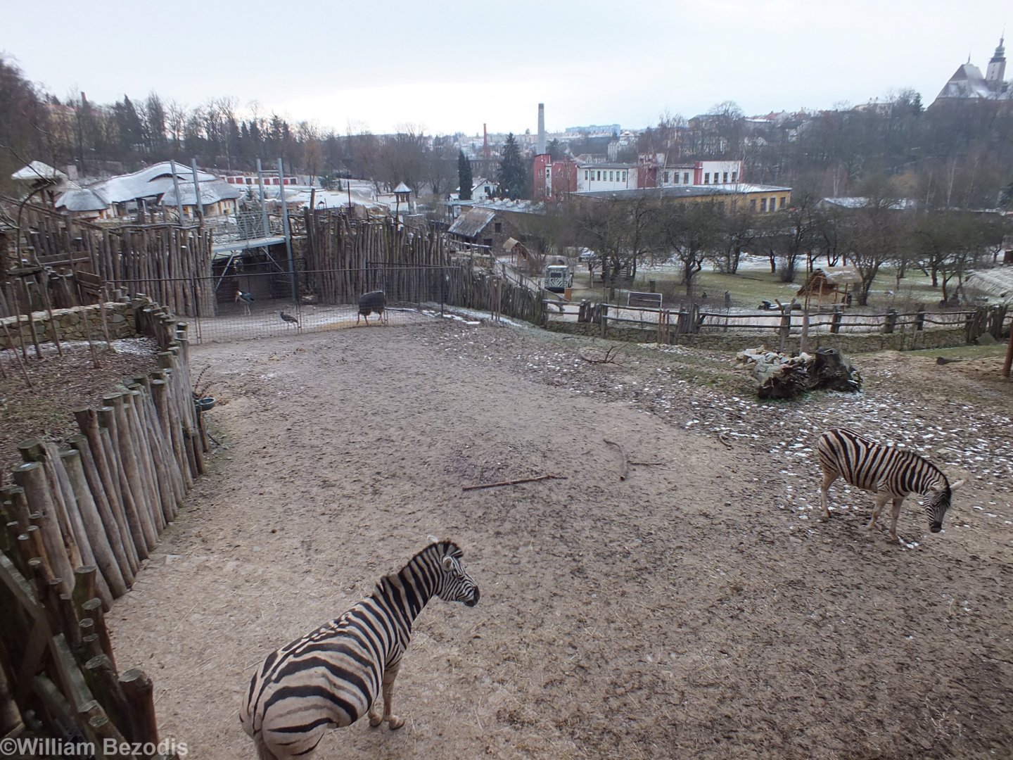 View of Part of the Africa Section