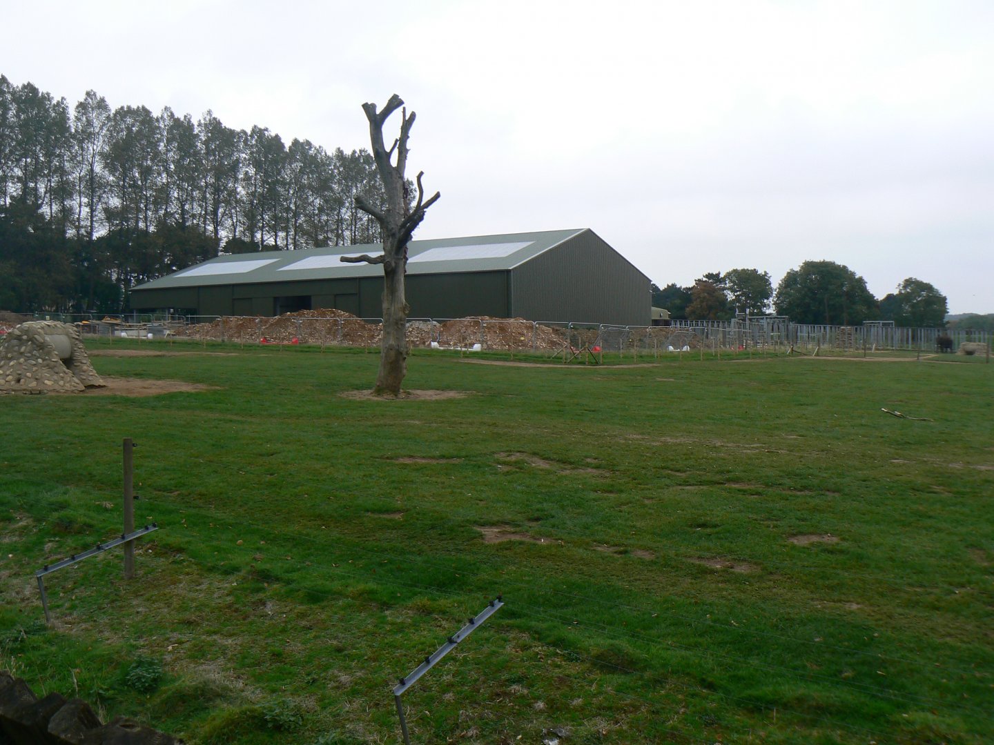 View of Part of the Asian Elephant Enclosure - 15 October 2016