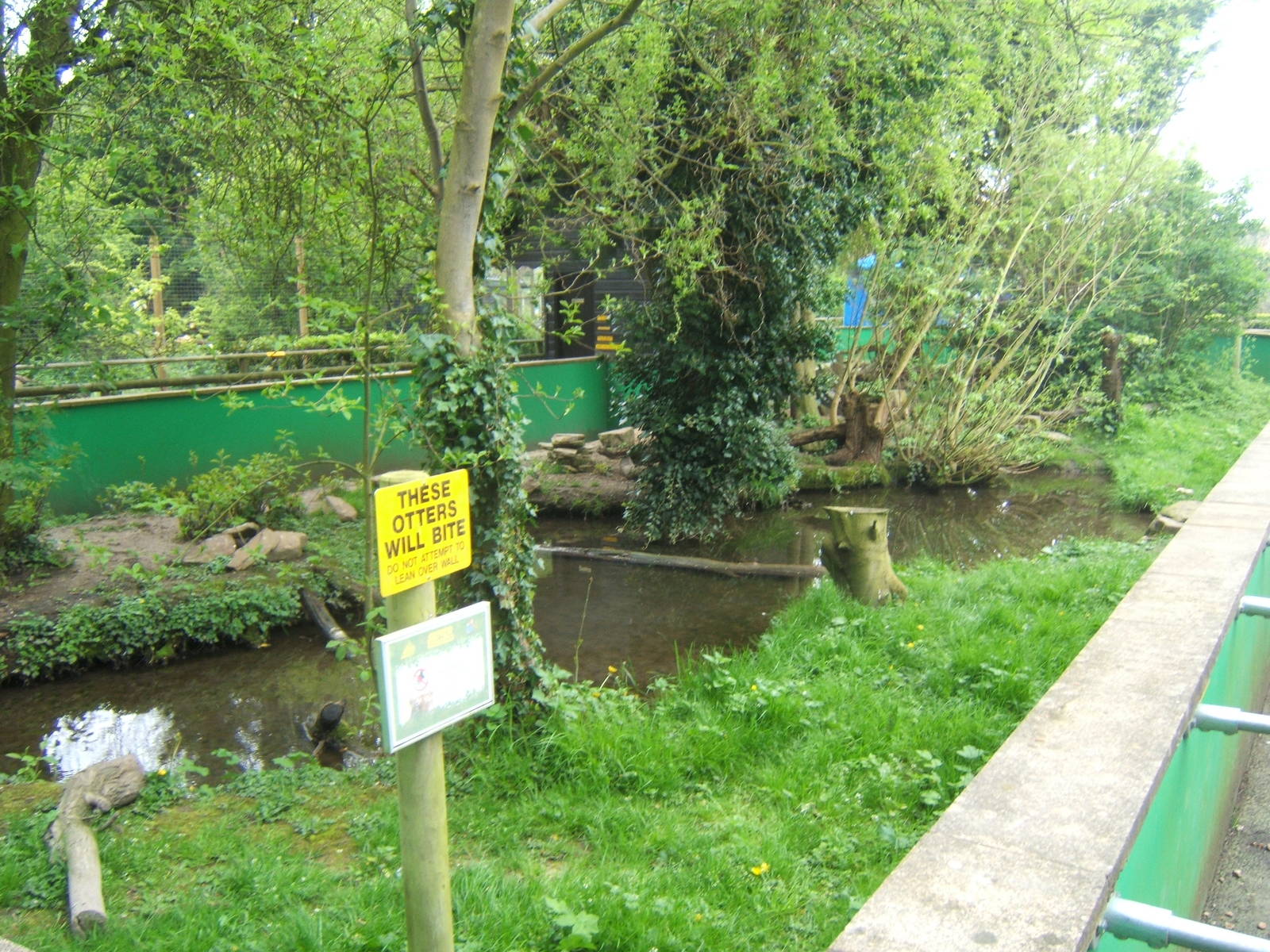 View of part of the Asian Short-clawed Otter enclosure