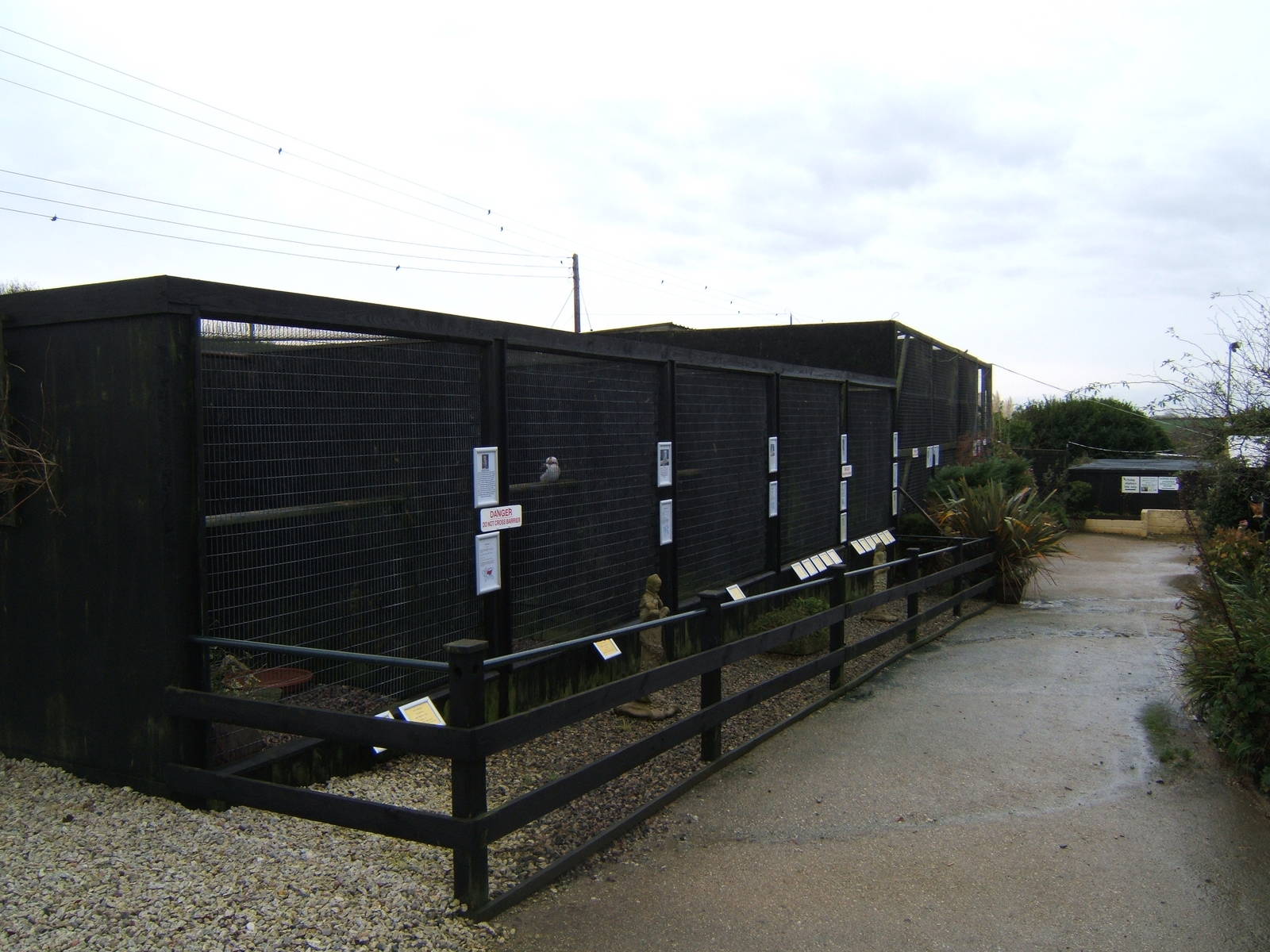 View of part of the Aviarys