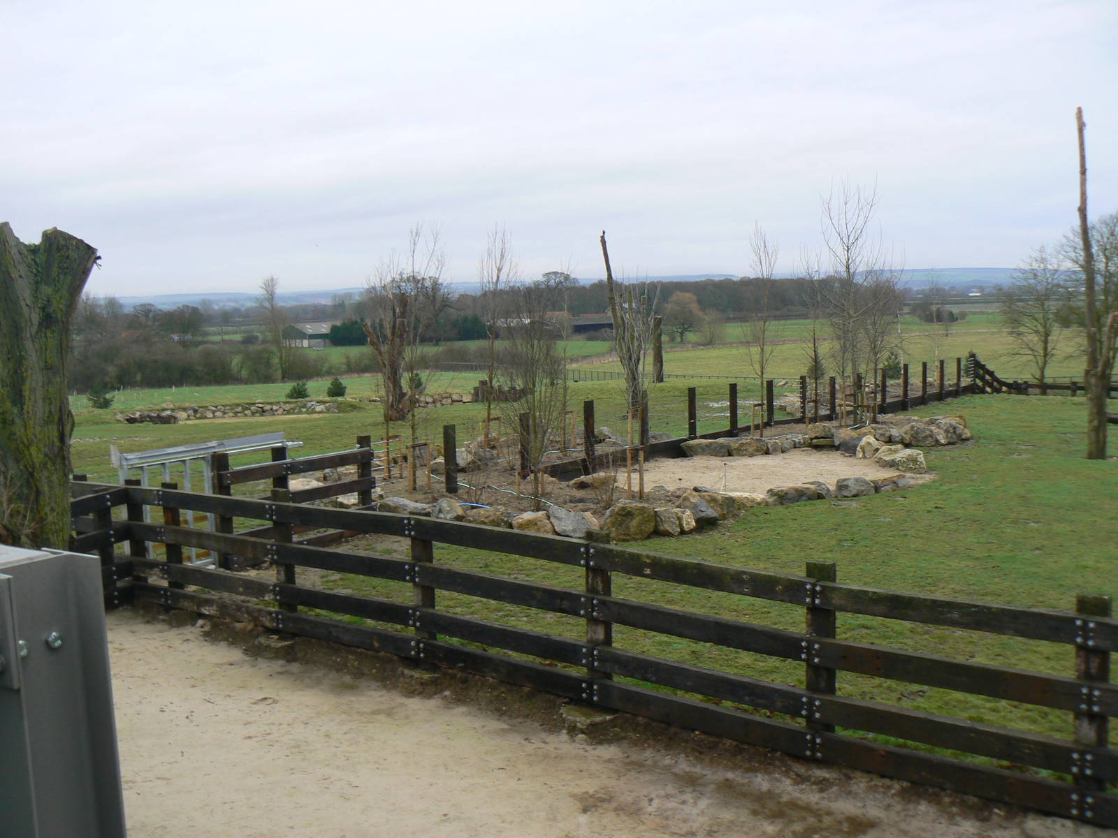 View of part of the Black Rhinoceros Enclosure - 24 January 2016