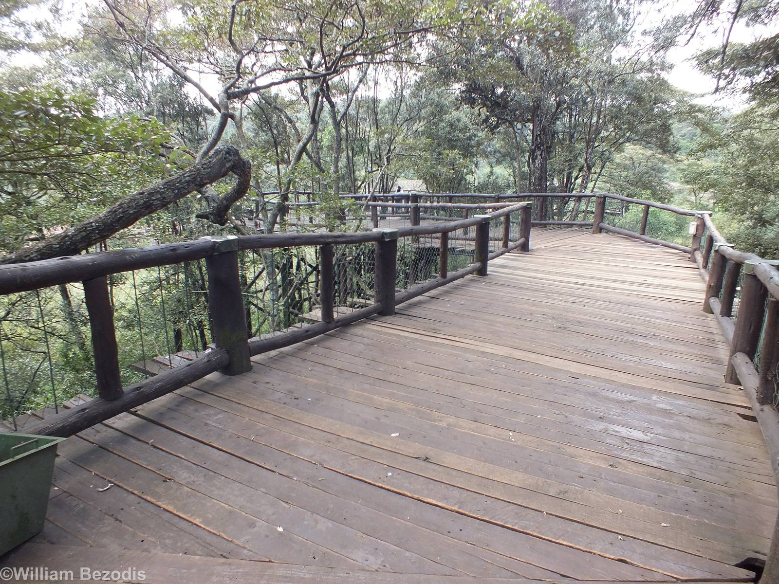 View of Part of the Boardwalk - Nairobi Safari Walk