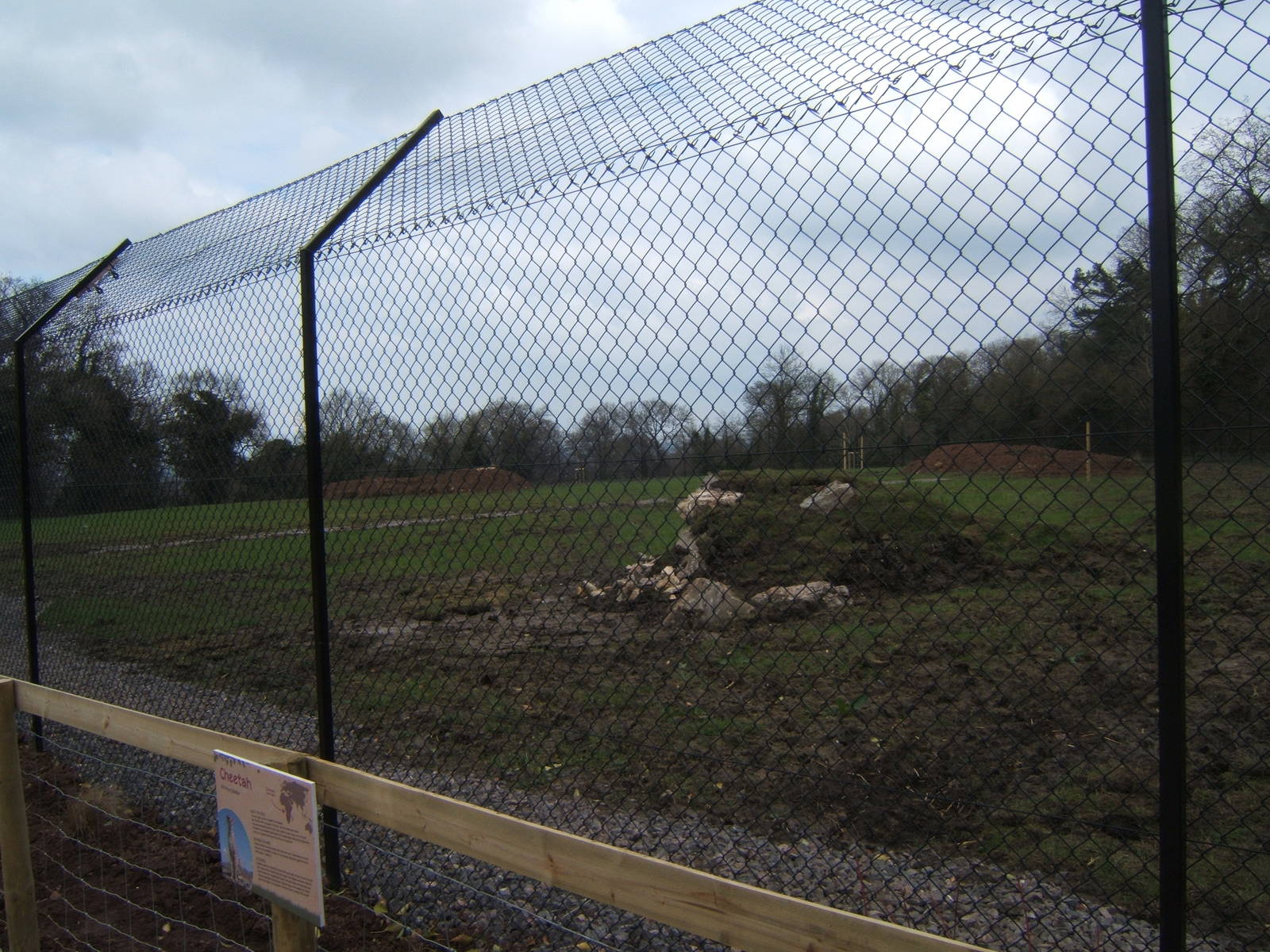 View of part of the Cheetah complex