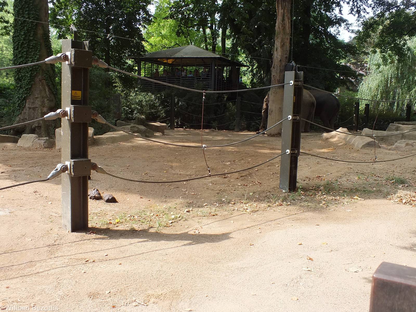 View of part of the Elephant Yard