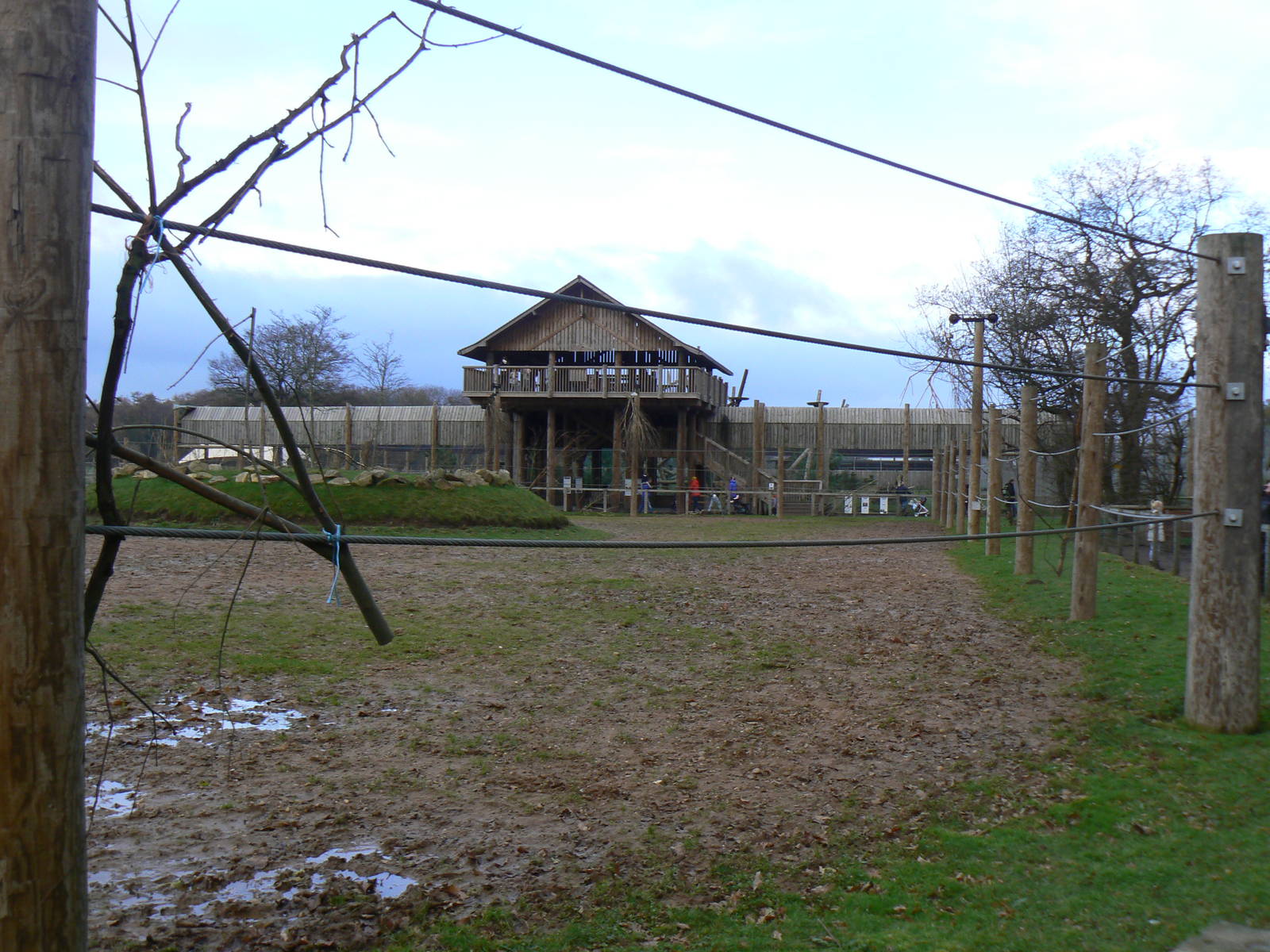 View of Part of the Giraffe Enclosure and onto 'Leopard Heights' - 22 Novem