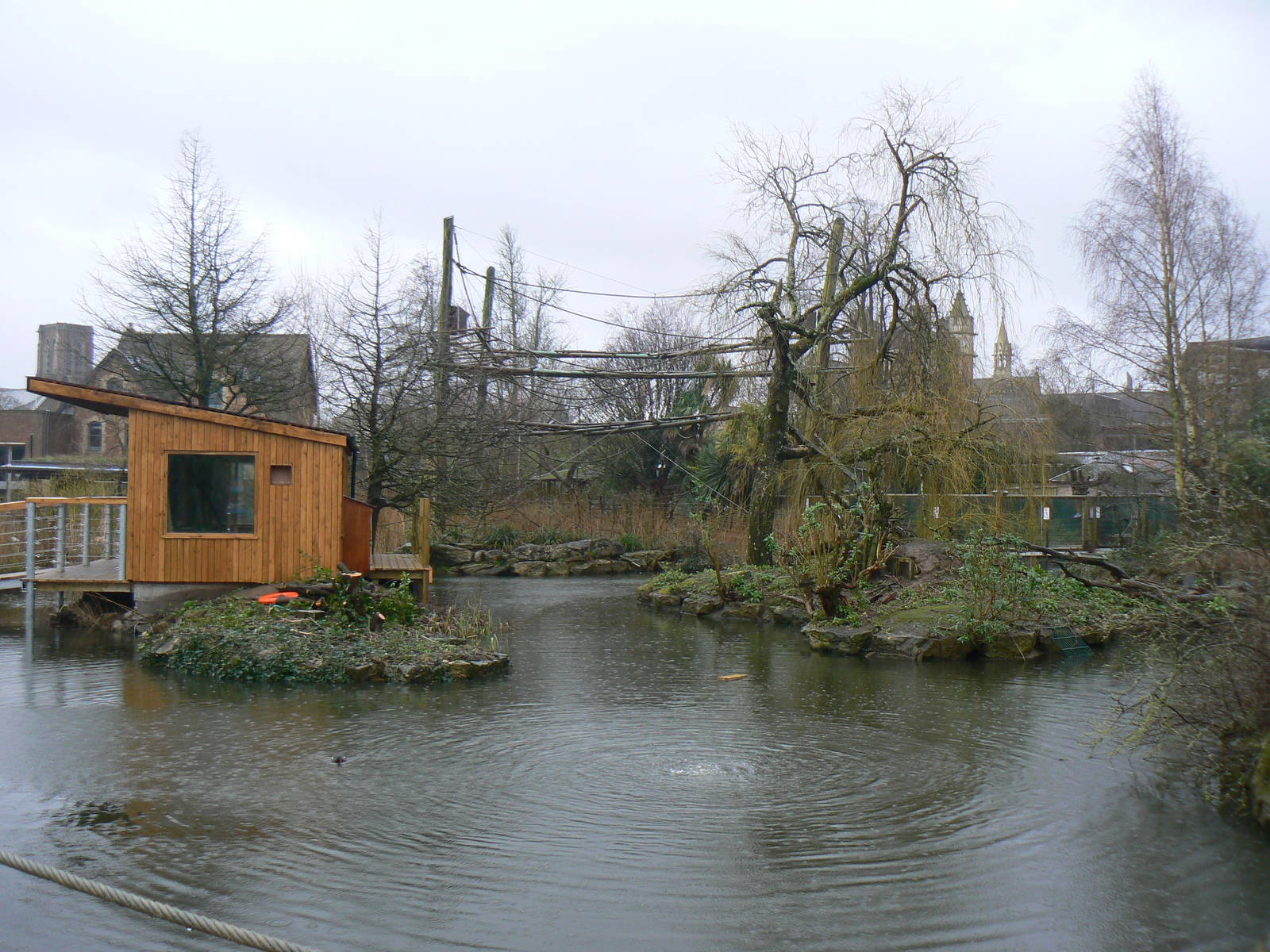 View of Part of the Lake - 6 February 2016