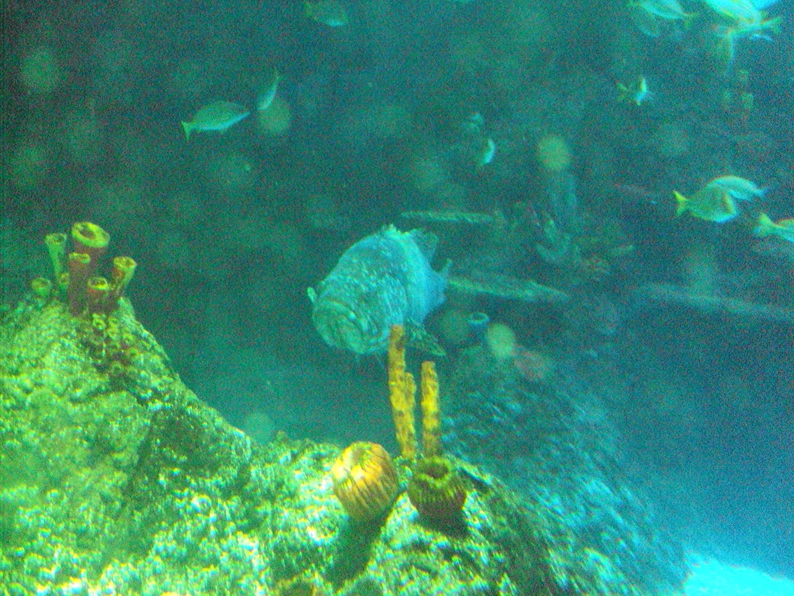 View of part of the main tank