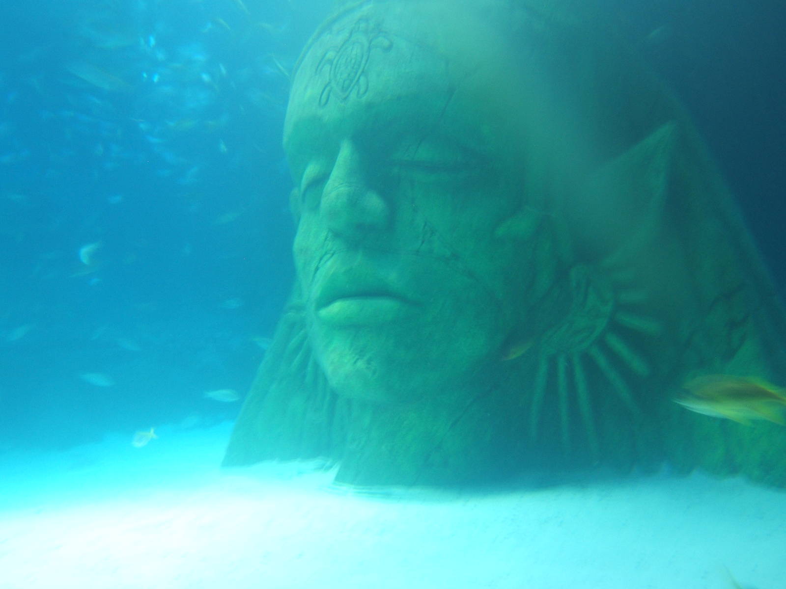 View of part of the main tank