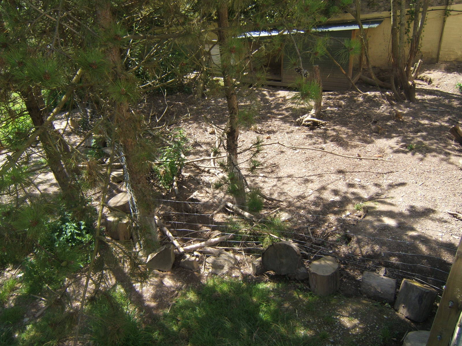 View of part of the Meerkat and Porcupine enclosure