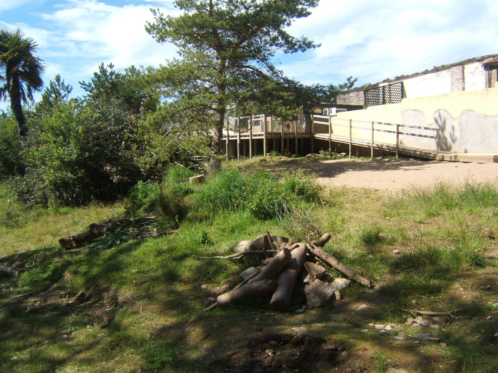 View of part of the Meerkat and Porcupine enclosure