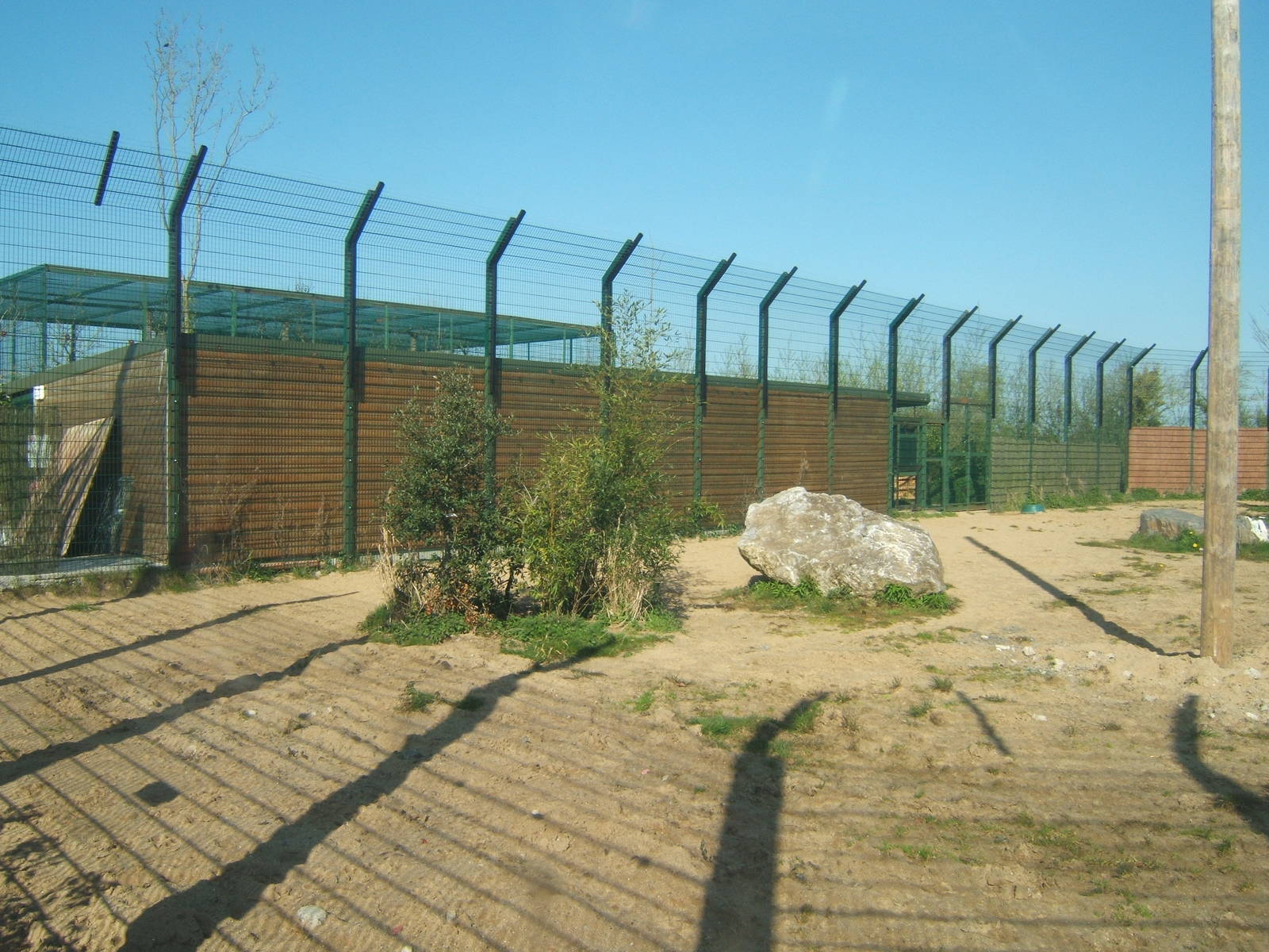 View of part of the new Amur Tiger enclosure