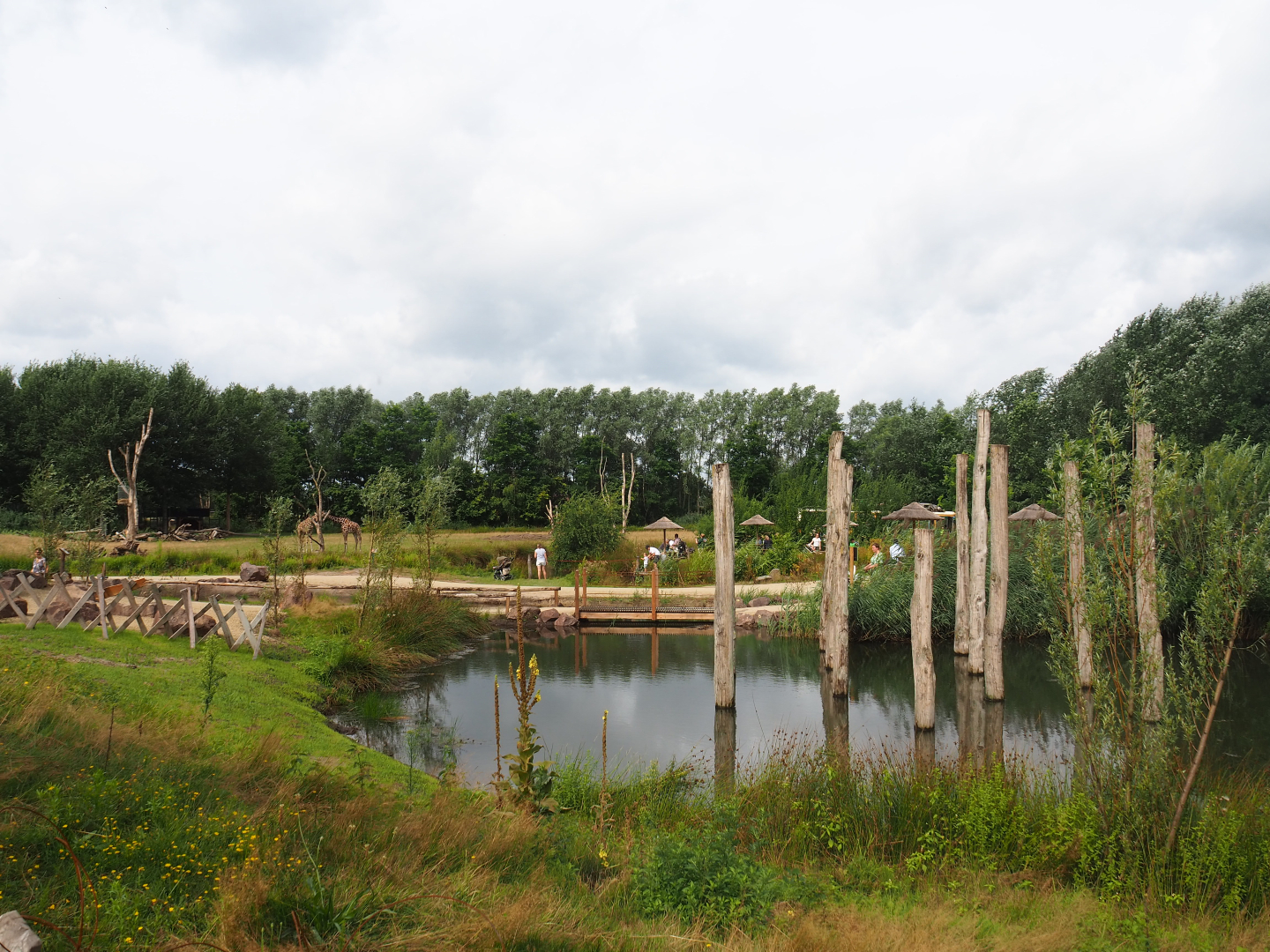 View of part of the new lemur island, 2019-08-11