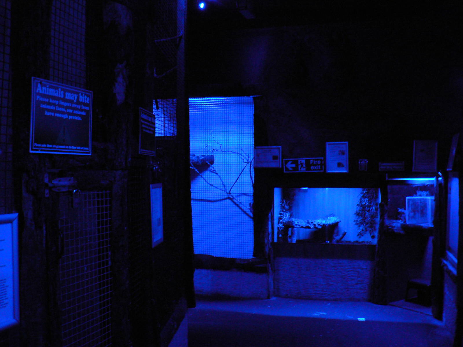 View of Part of the Nocturnal Area/ Bat Cave - 16 February 2016, Wild Anima