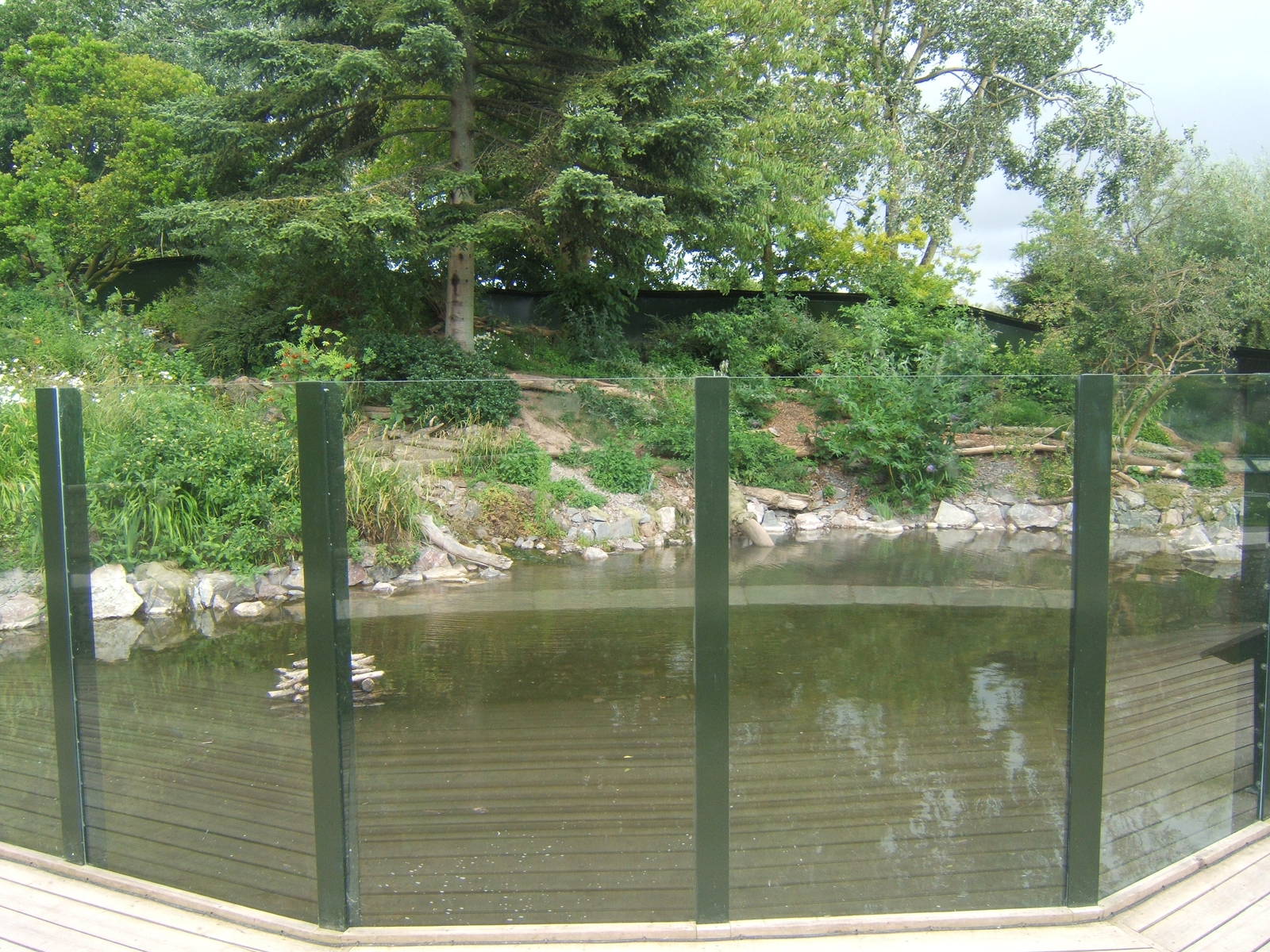 View of part of the North American River Otter exhibit