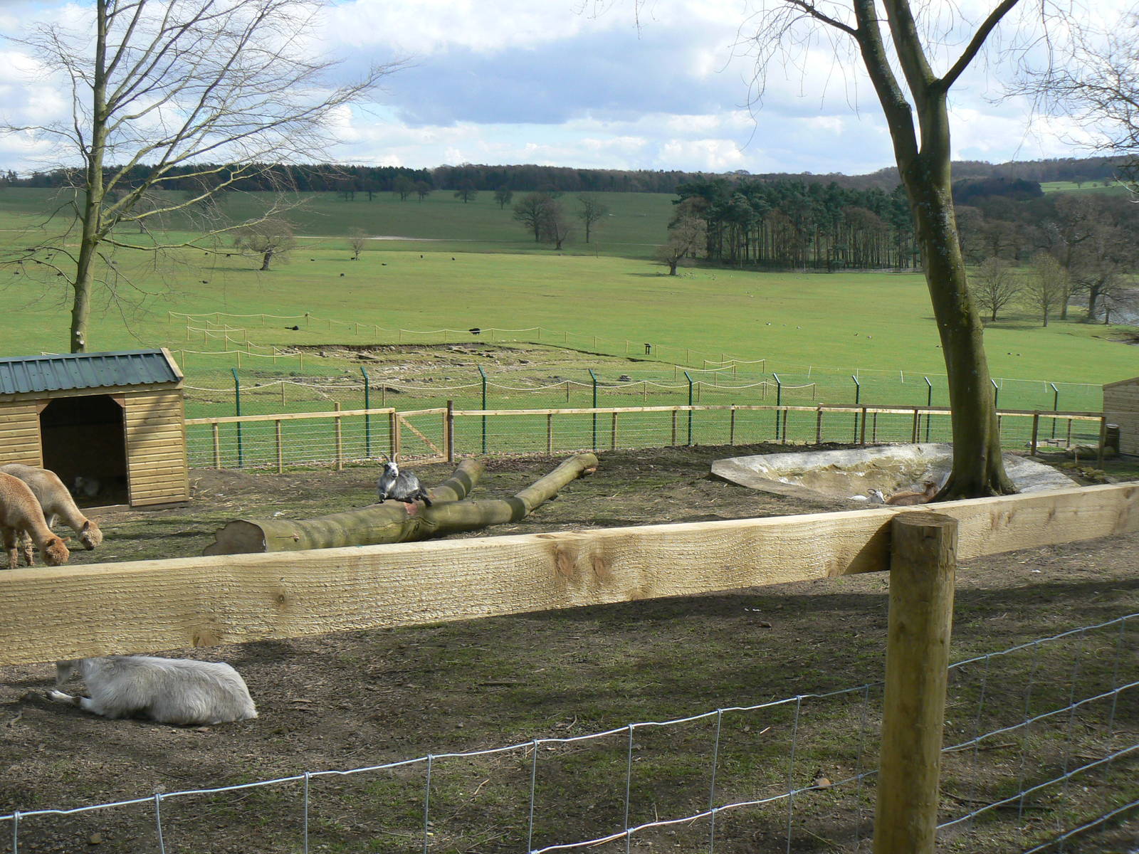 View of Part of the Paddock Areas in the New 'Farm Experience' - 9 April 20