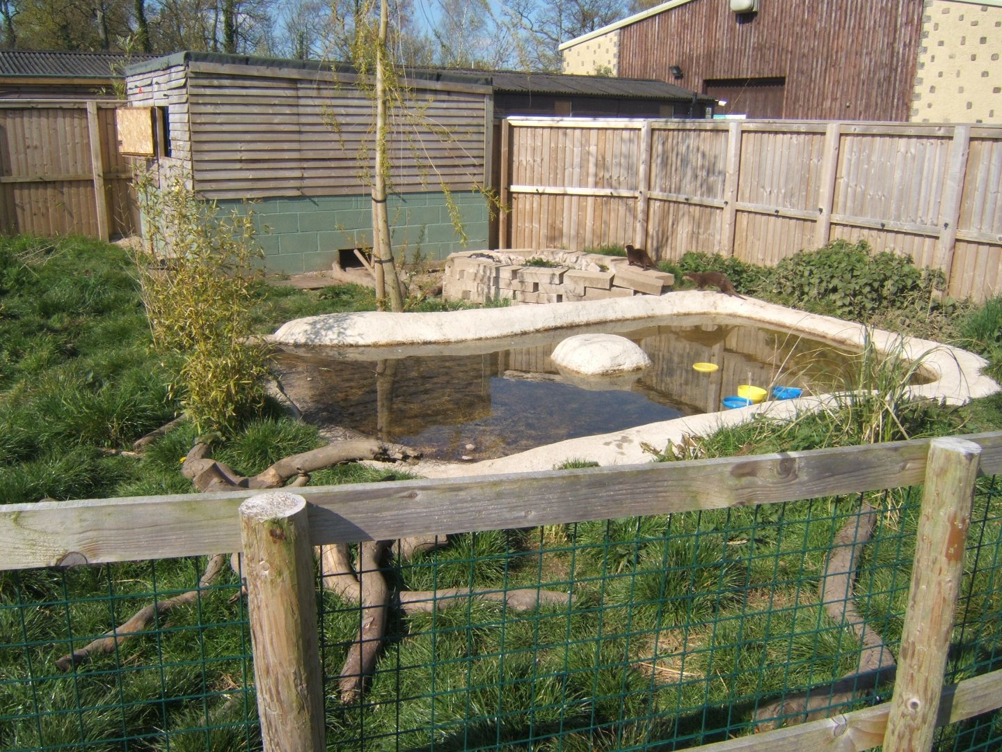 View of part of the Pelican enclosure 13/04/2019