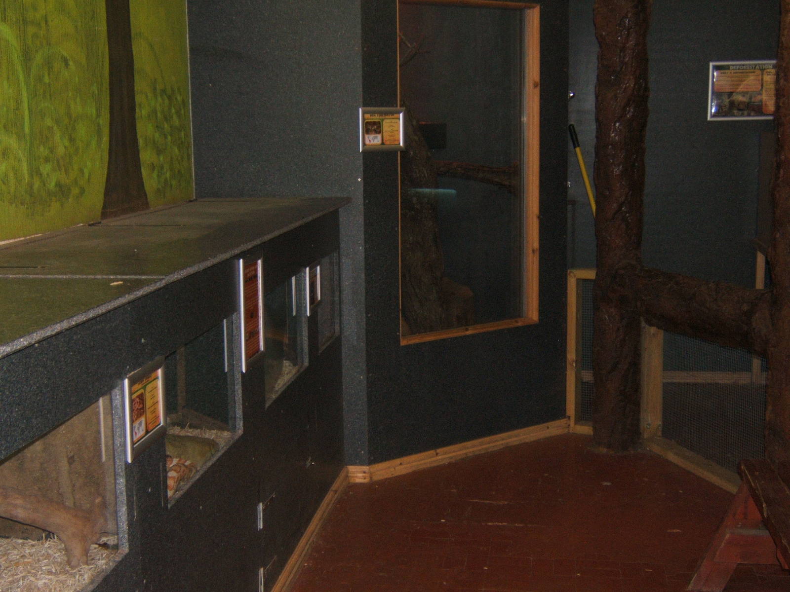 View of part of the Reptile encounter room