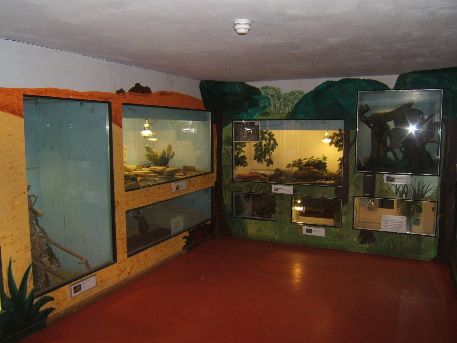 View of part of the Reptile House