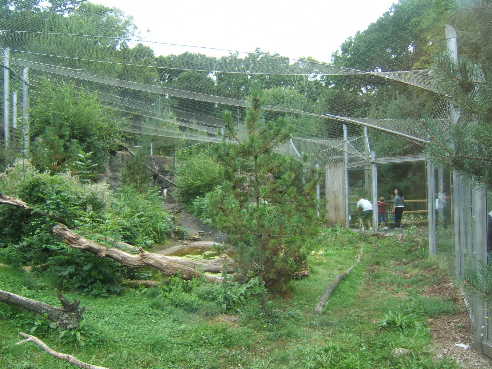 View of part of the Snow Leopard enclosure