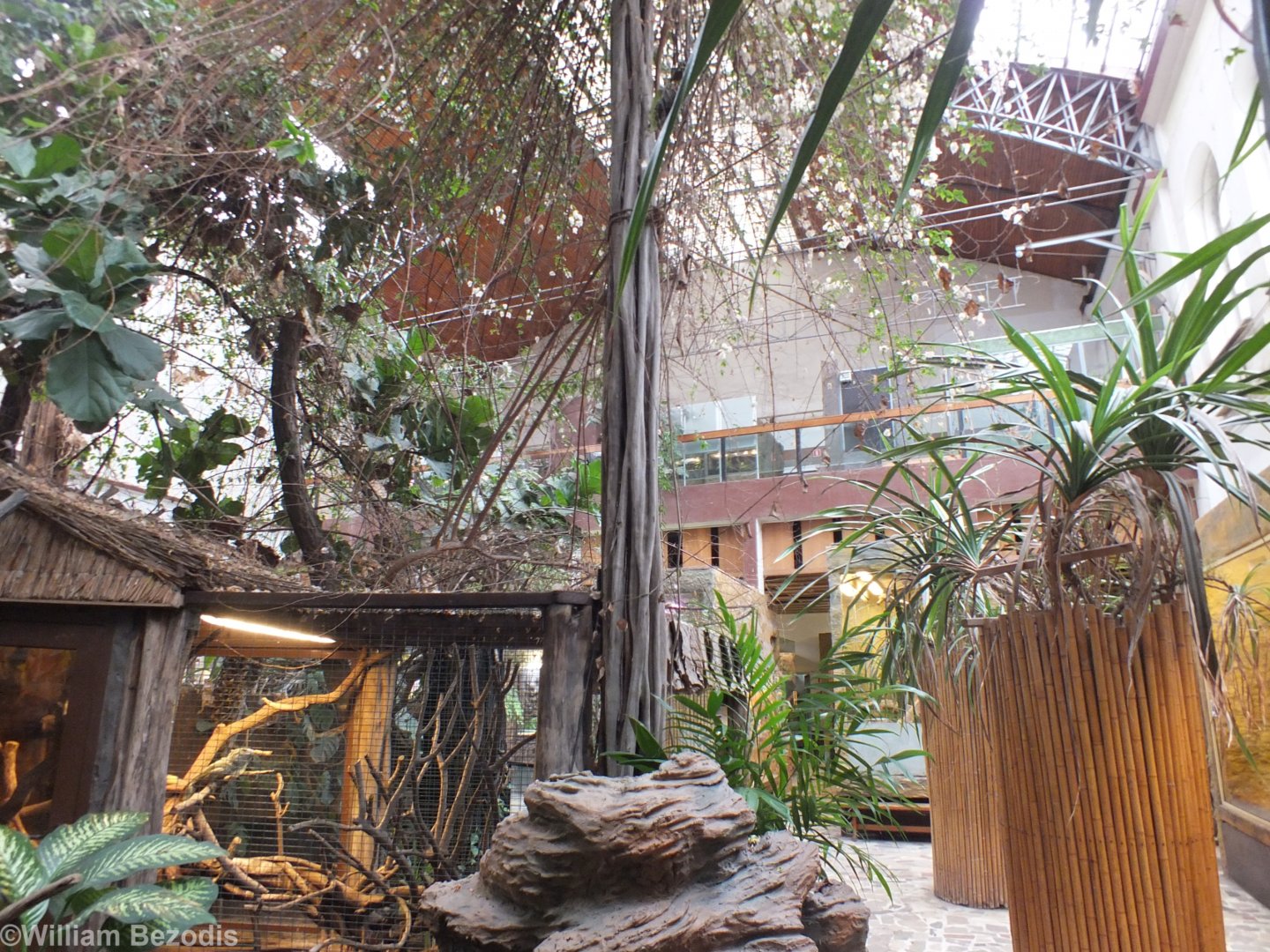 View of Part of the Terrarium - Wroclaw Zoo Terrarium