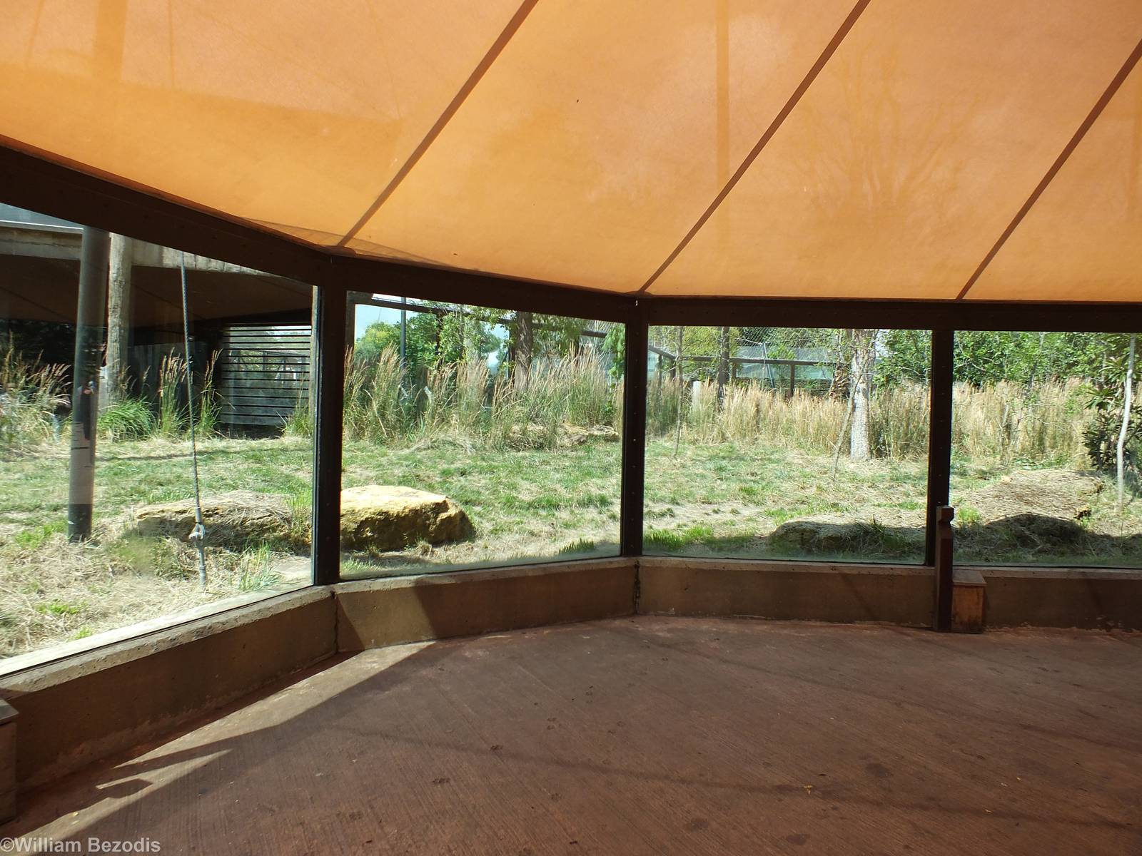 View of Part of Tiger Territory