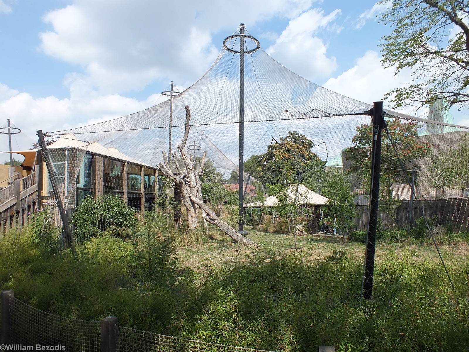 View of Part of Tiger Territory