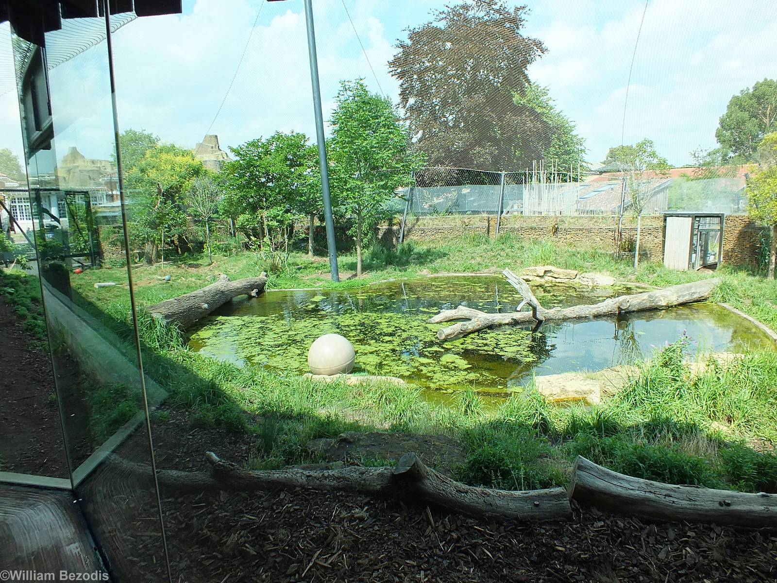 View of Part of Tiger Territory