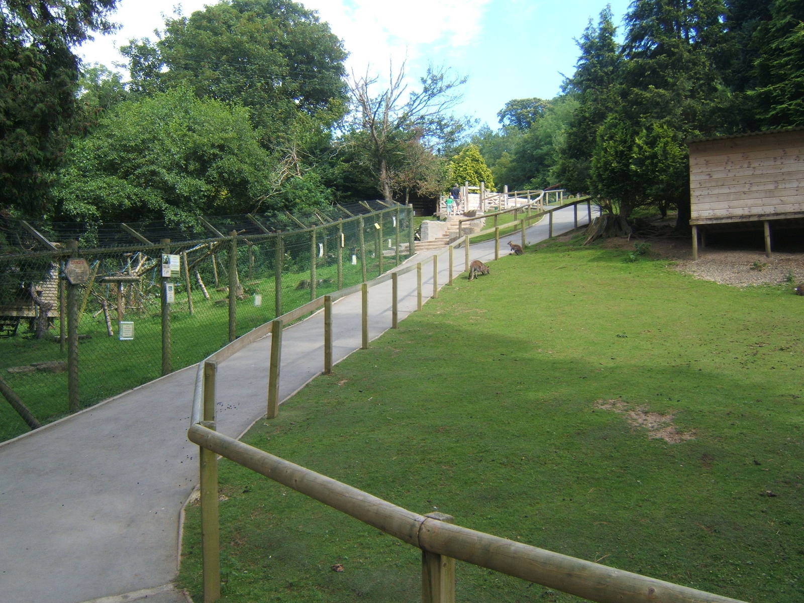 View of part of Wallaby walk through and the Black and White Ruffed lemur e