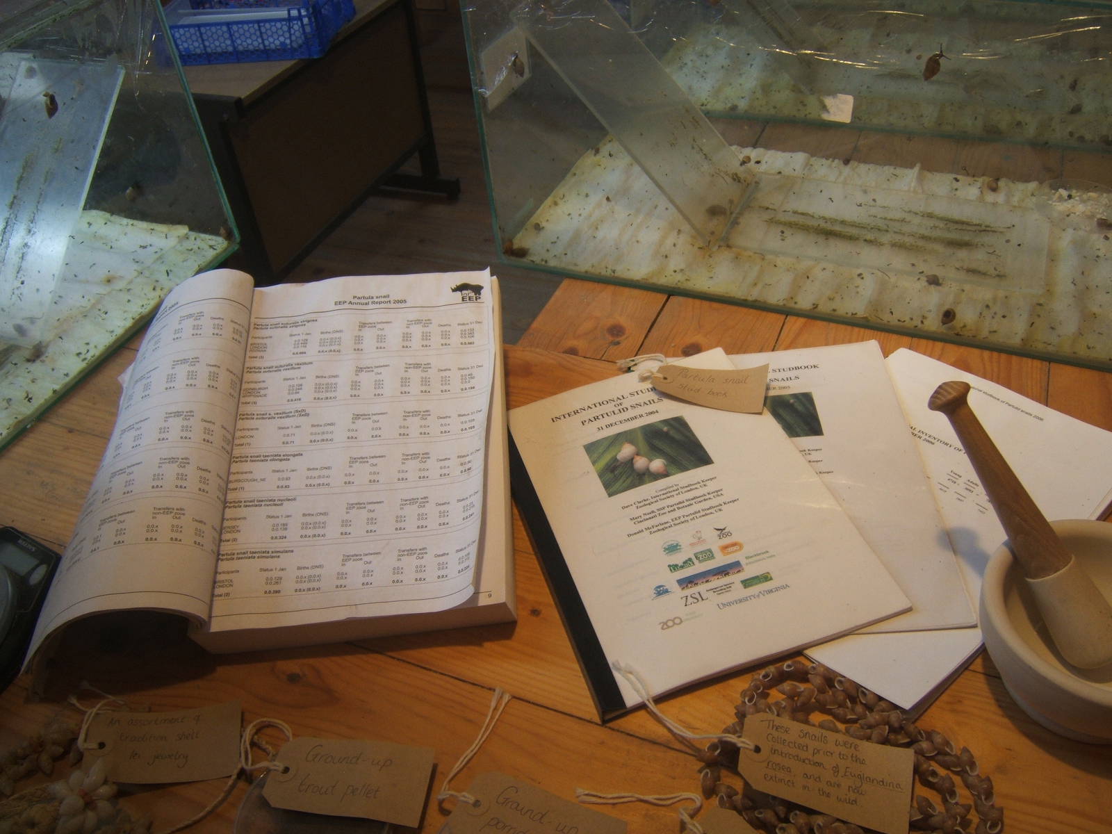 View of Partula Snail studbook