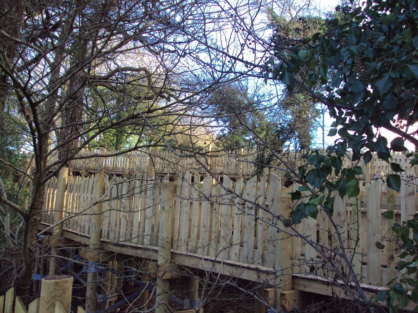 View of path 03/01/2020