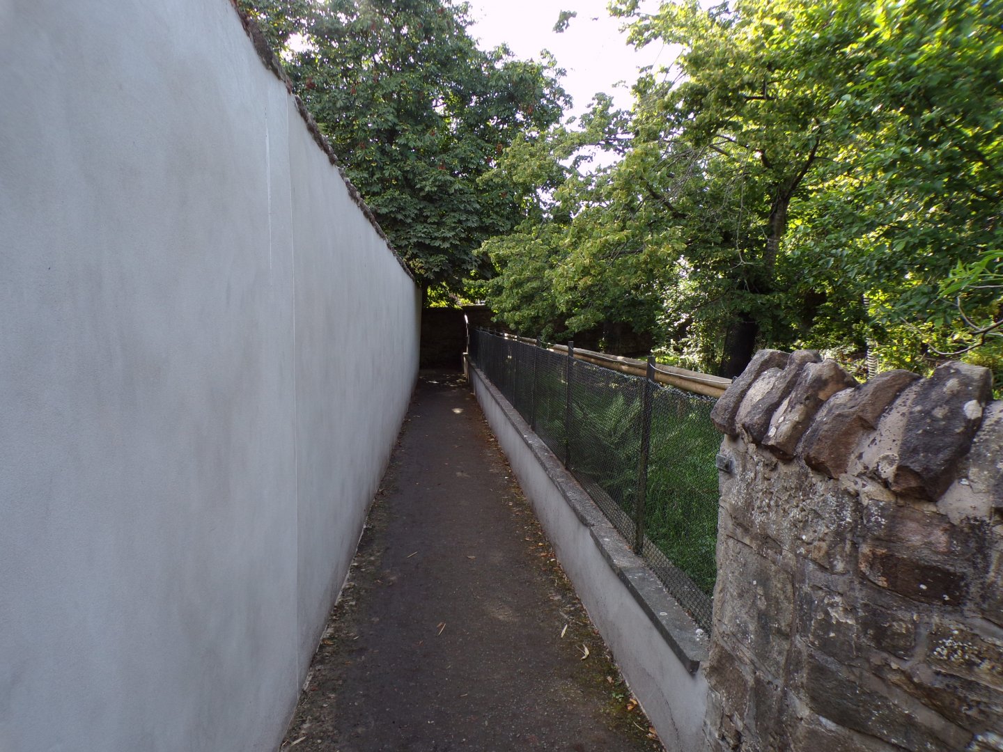 View of path along Visayan warty pig enclosure 14.8.23