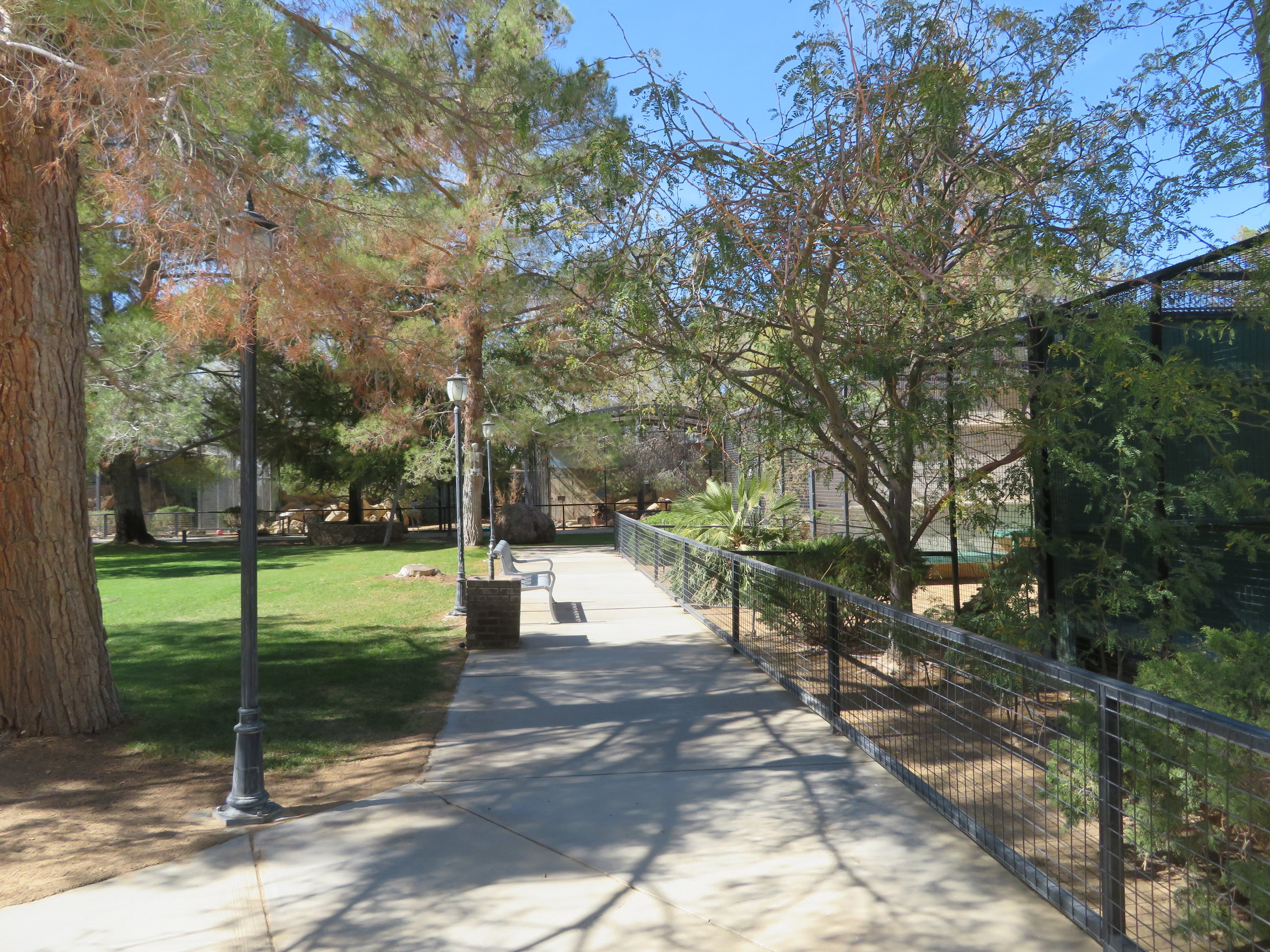 View of Pathway (2022)