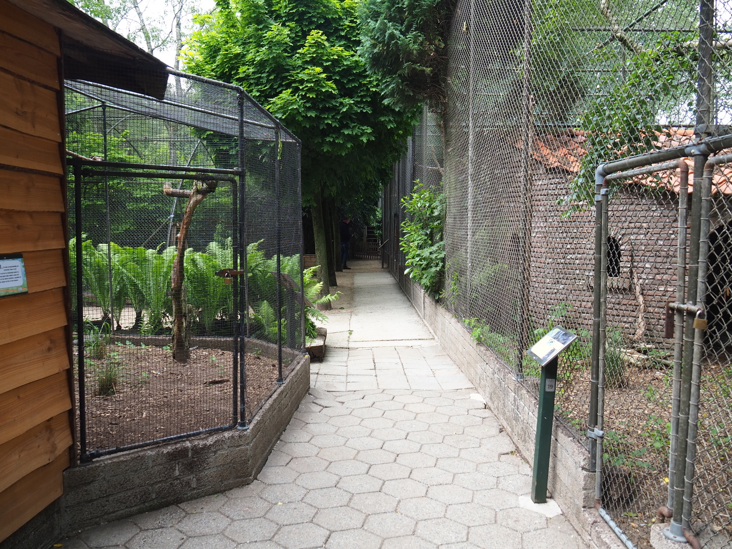 View of pathway in between aviaries, 2019-05-25