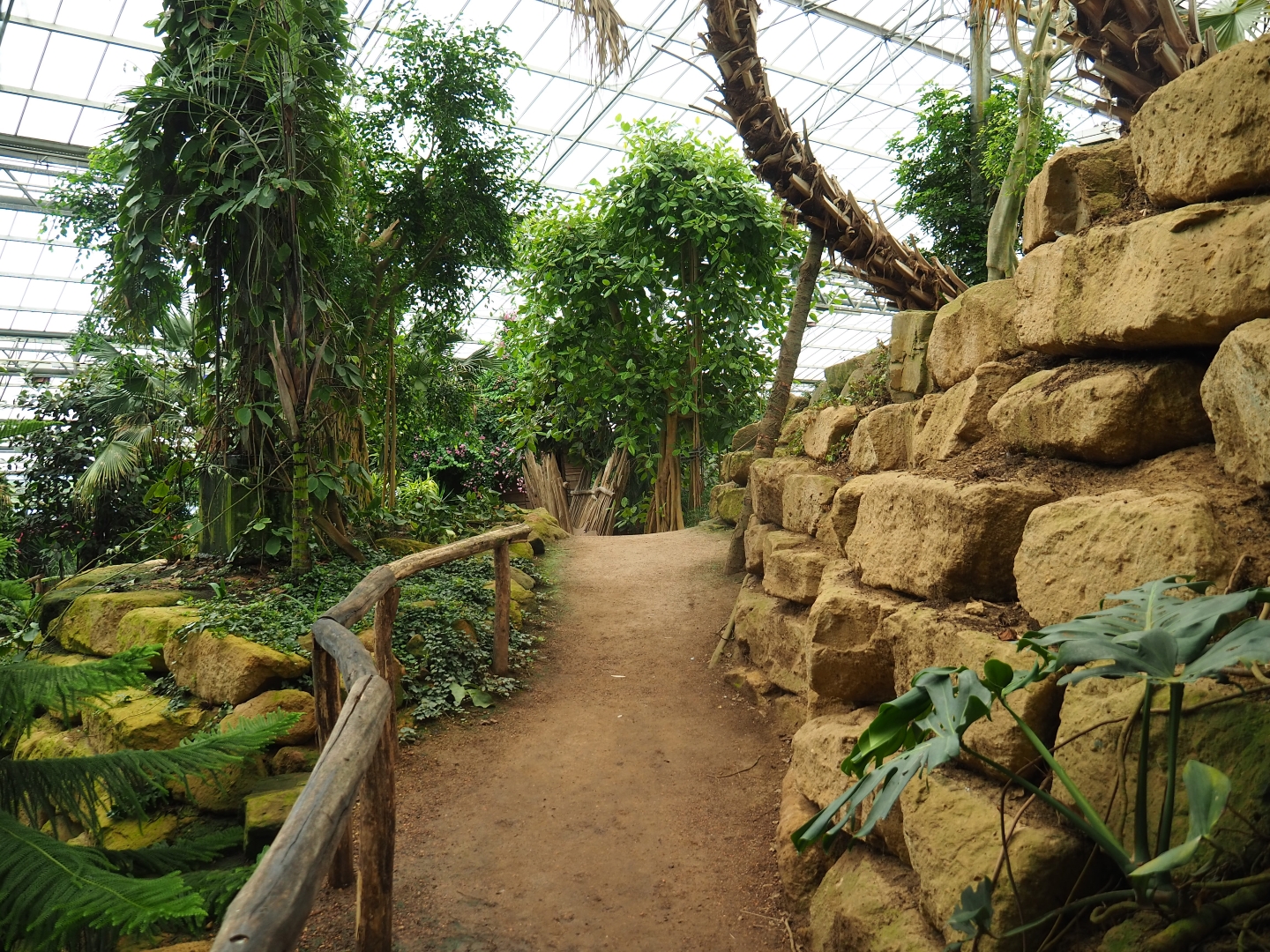 View of pathway in the Tropical hall (Aug 28th, 2018)